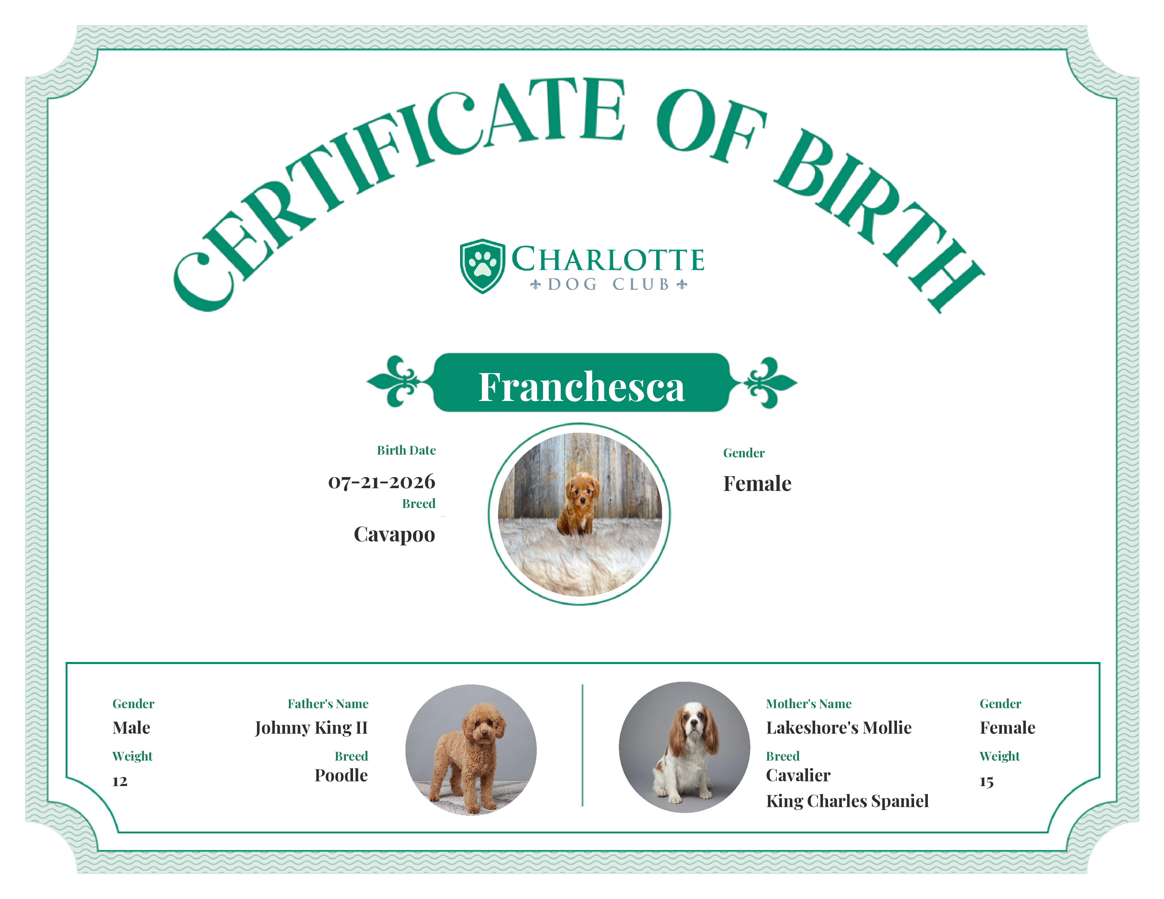 Franchesca's Birth Certificate