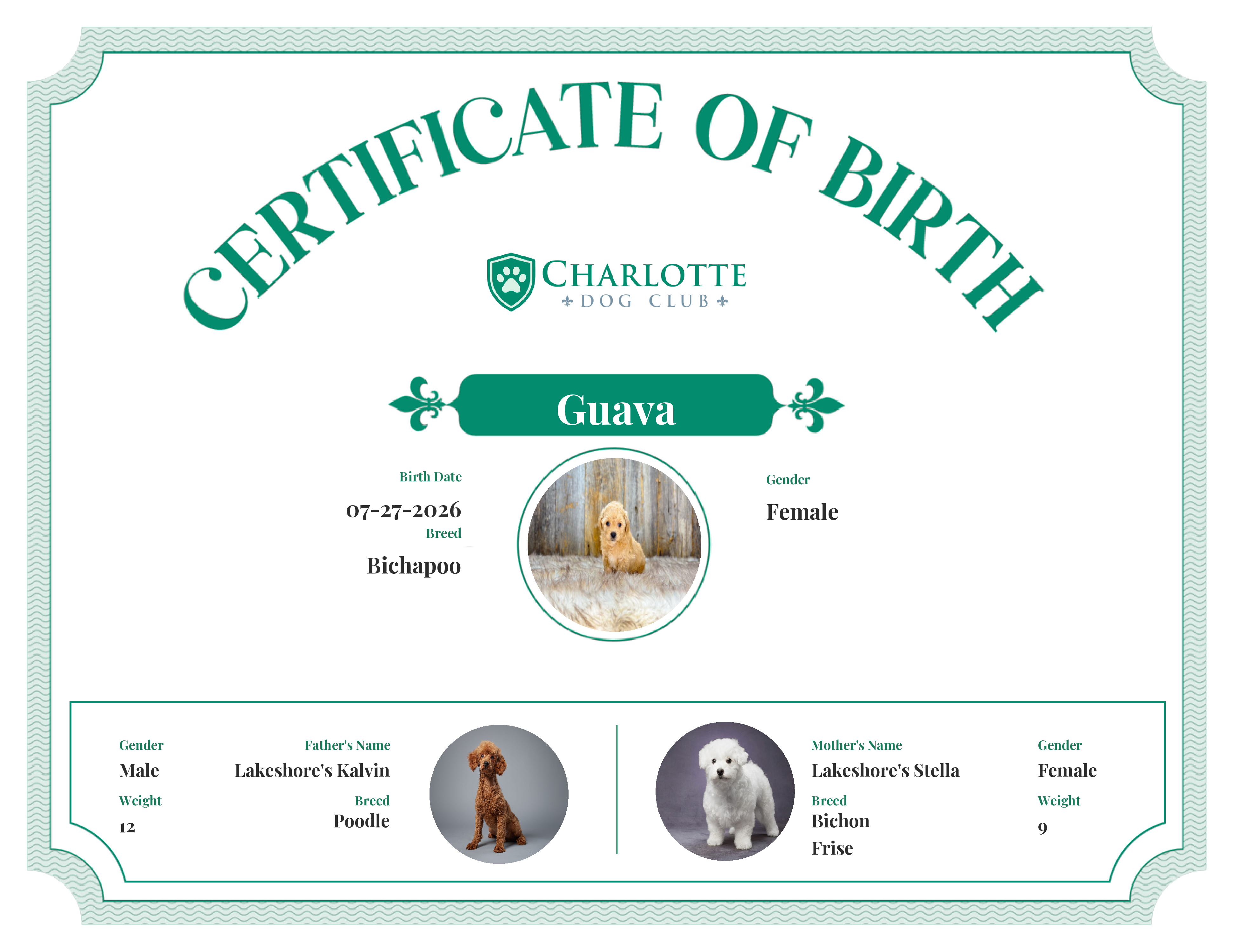 Guava's Birth Certificate