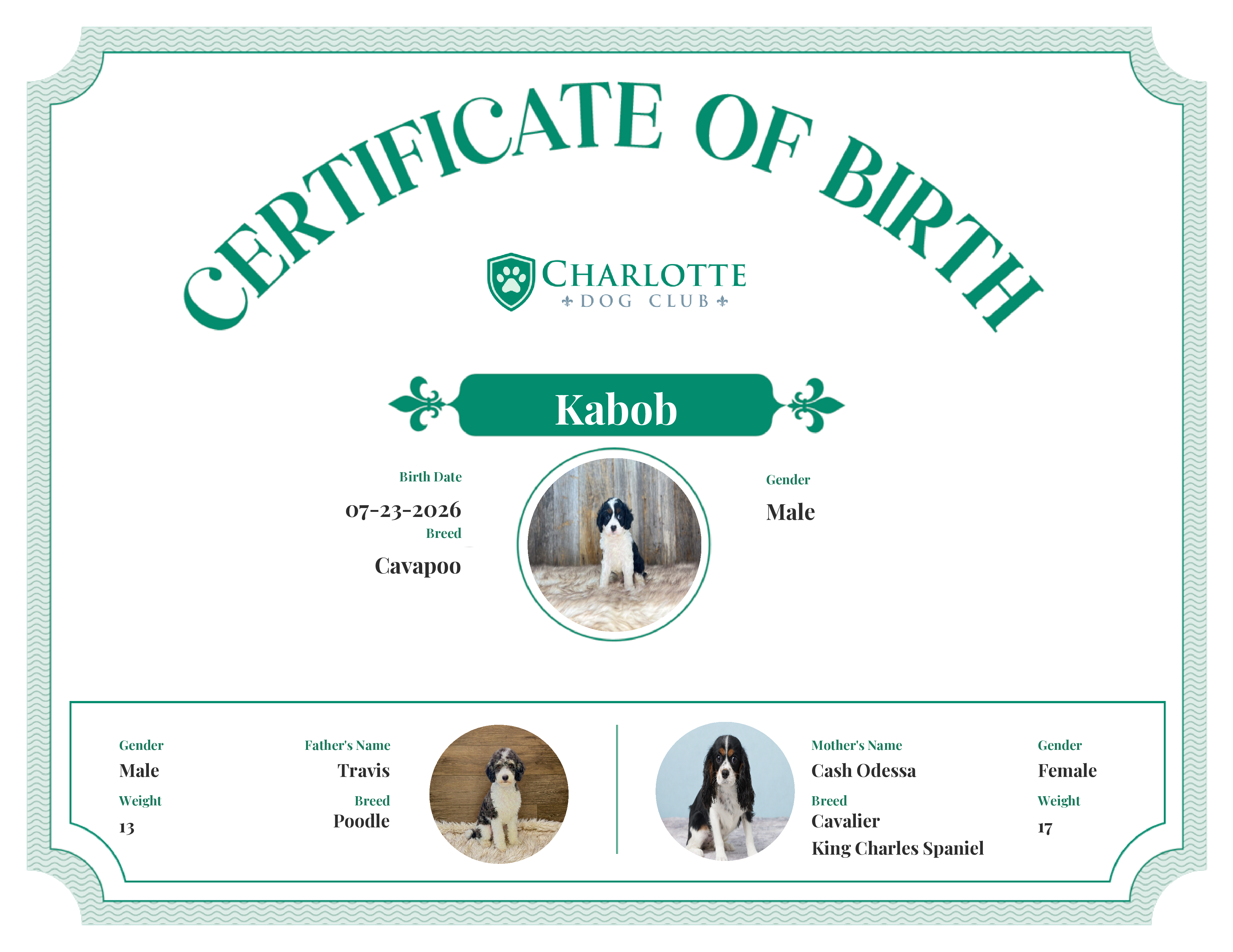 Kabob's Birth Certificate
