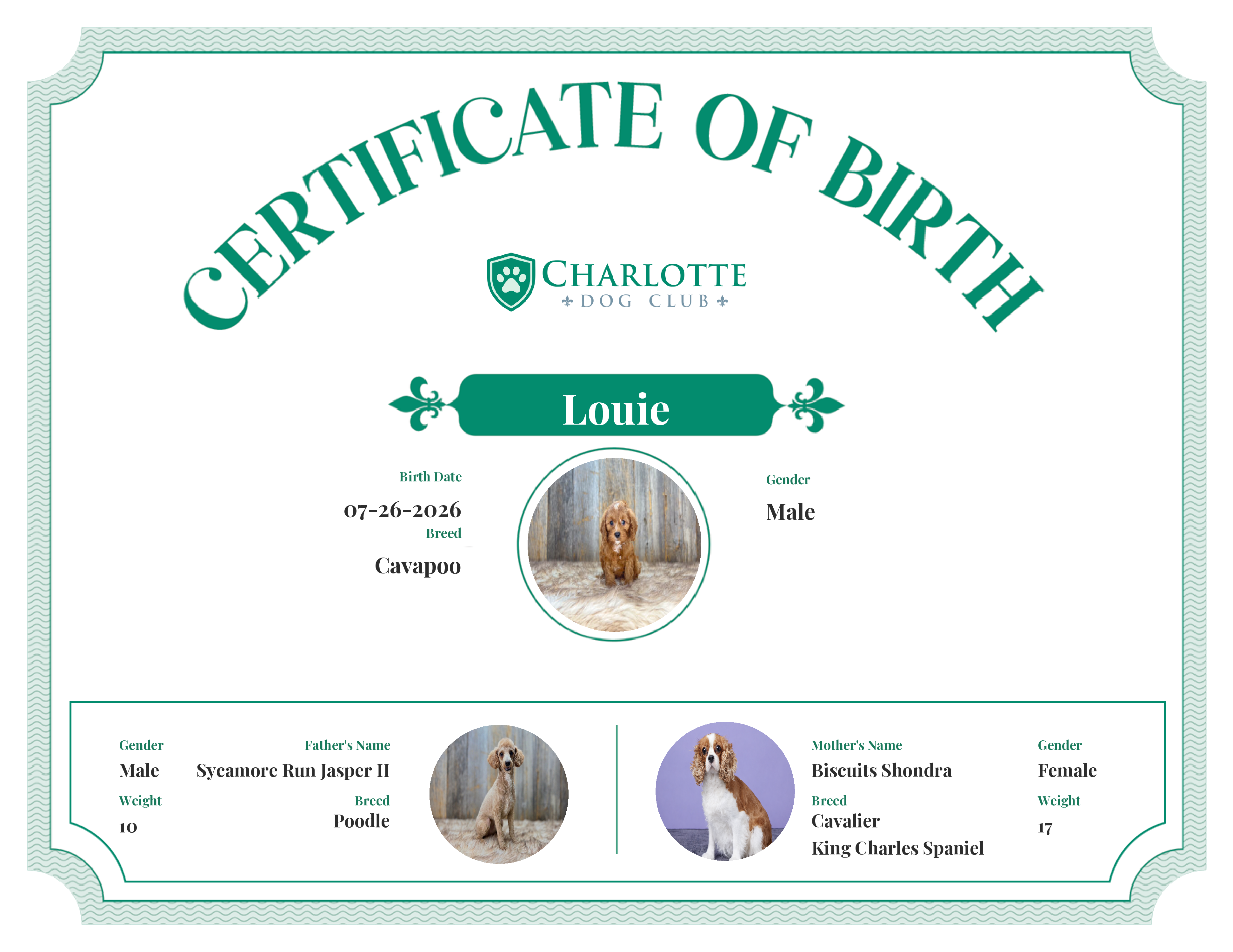 Louie's Birth Certificate