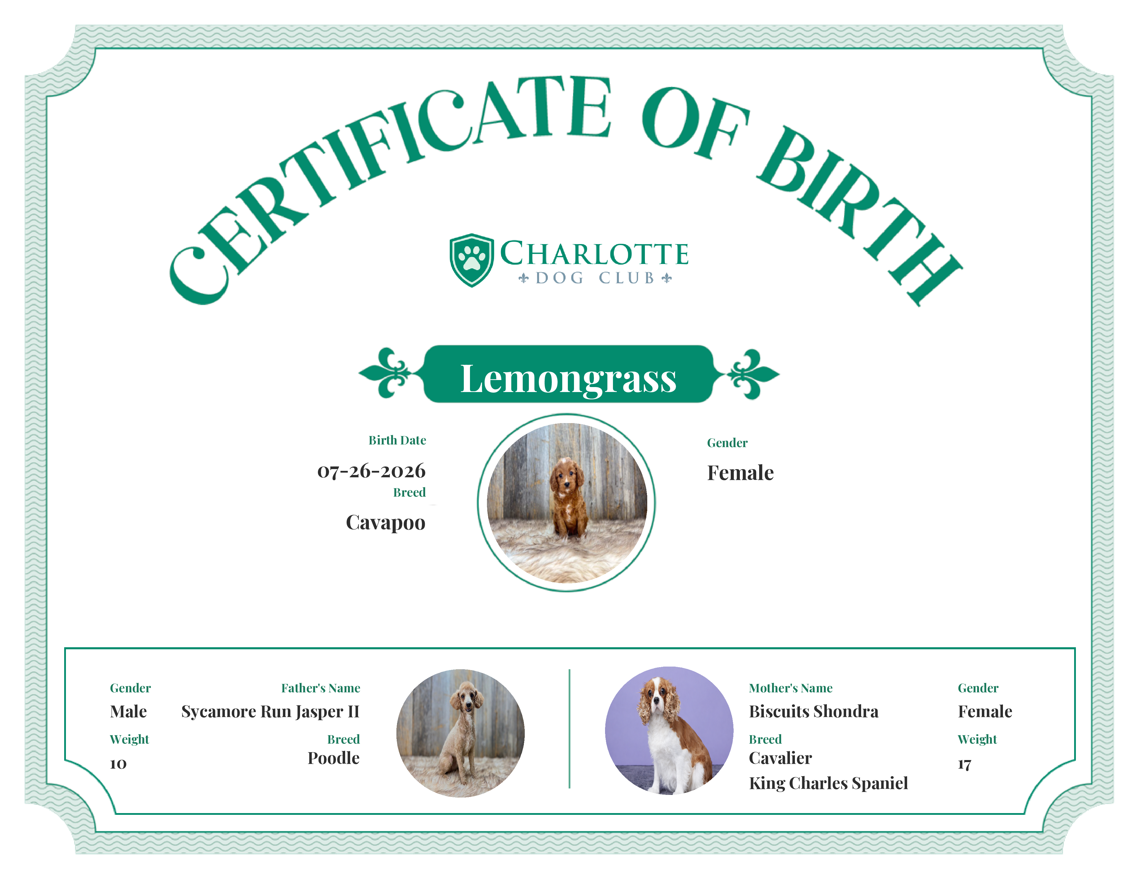 Lemongrass's Birth Certificate