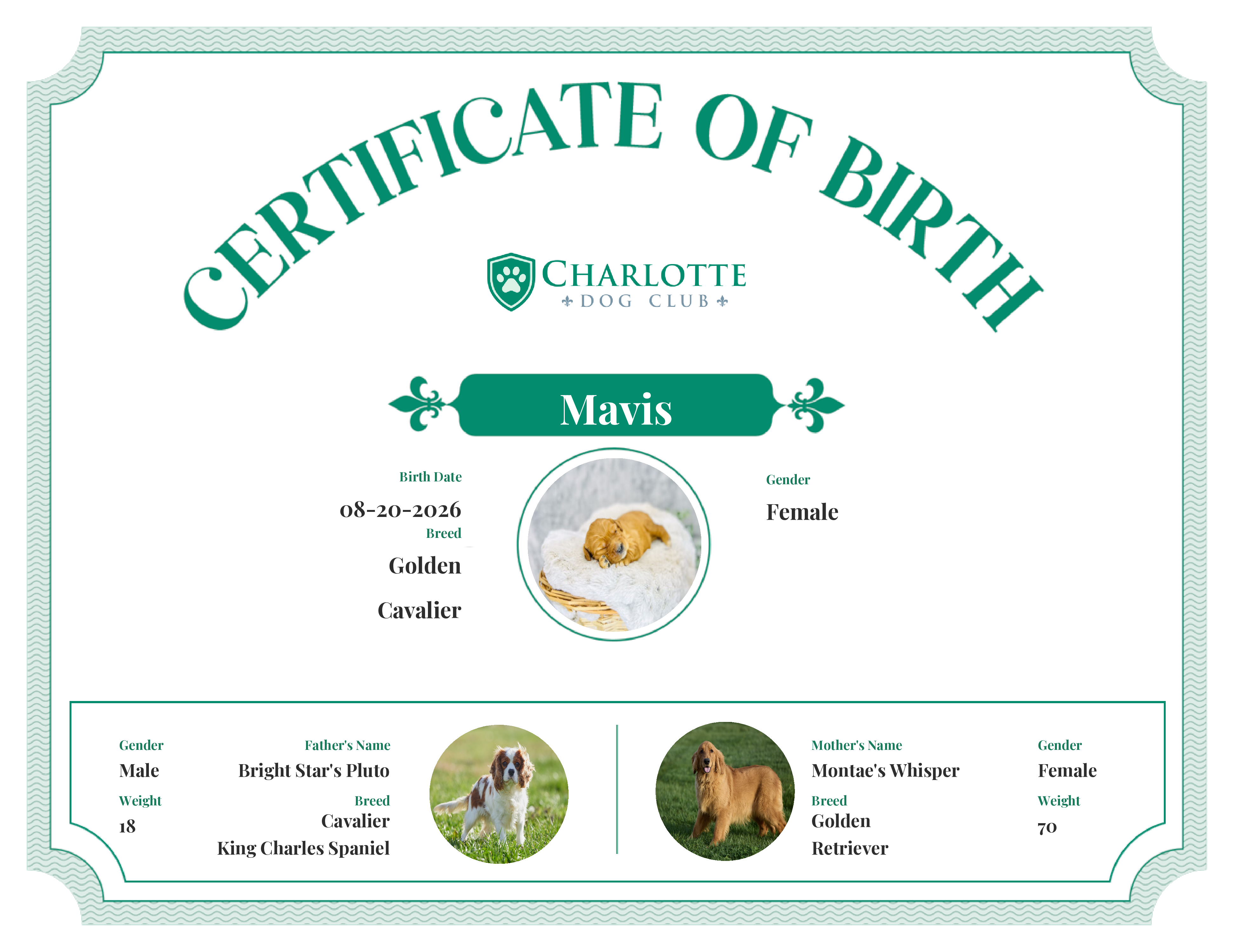 Mavis's Birth Certificate
