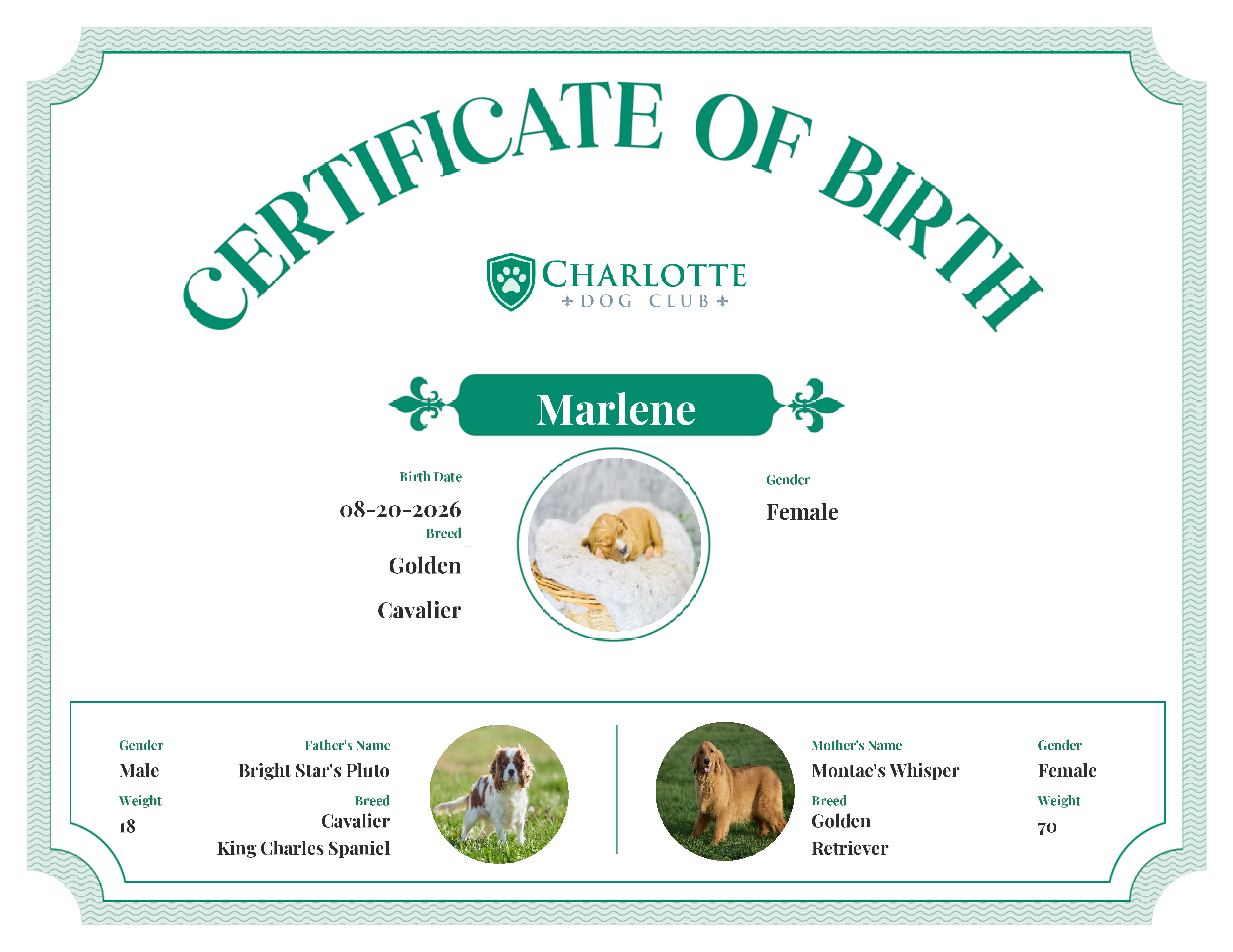 Marlene's Birth Certificate