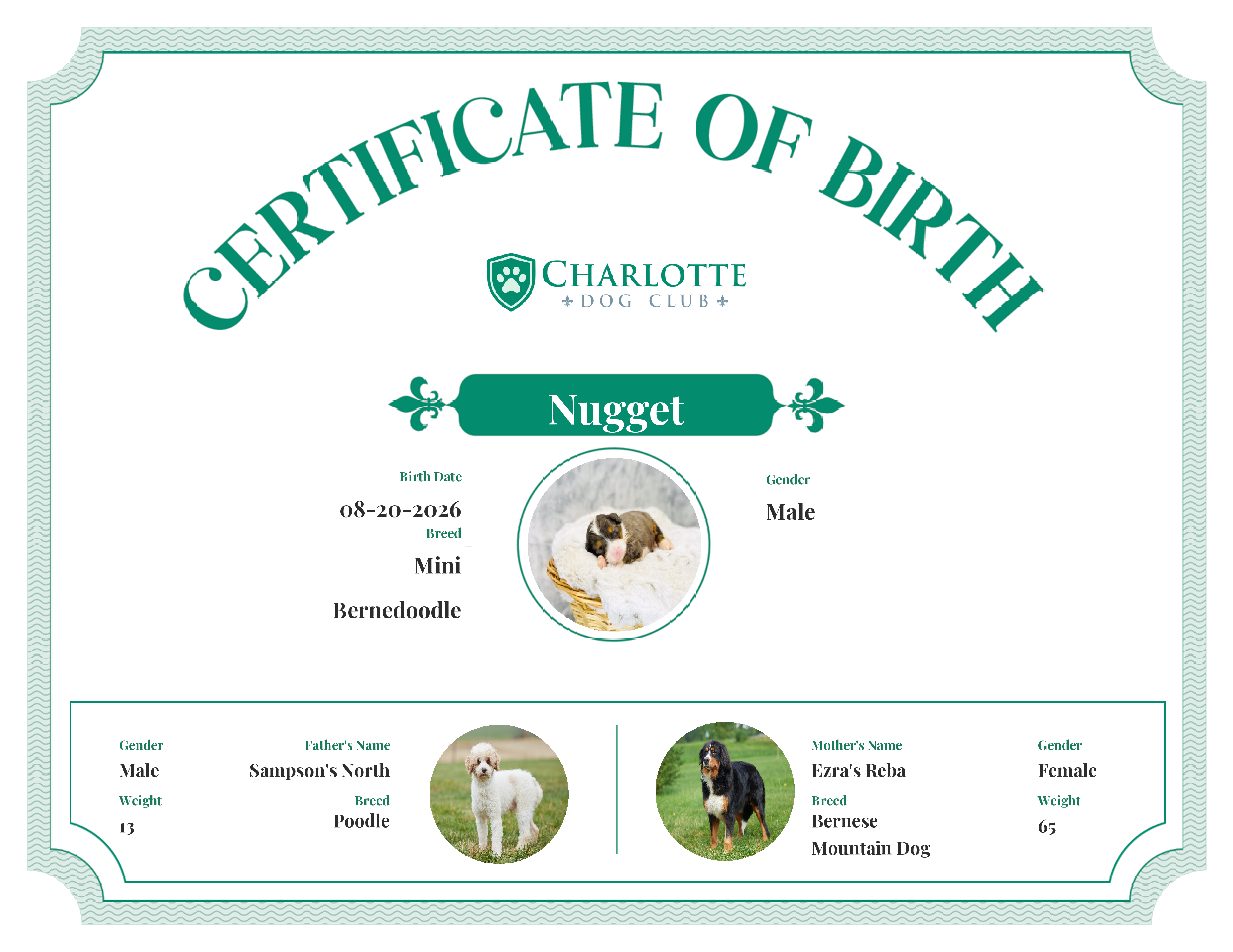 Nugget's Birth Certificate