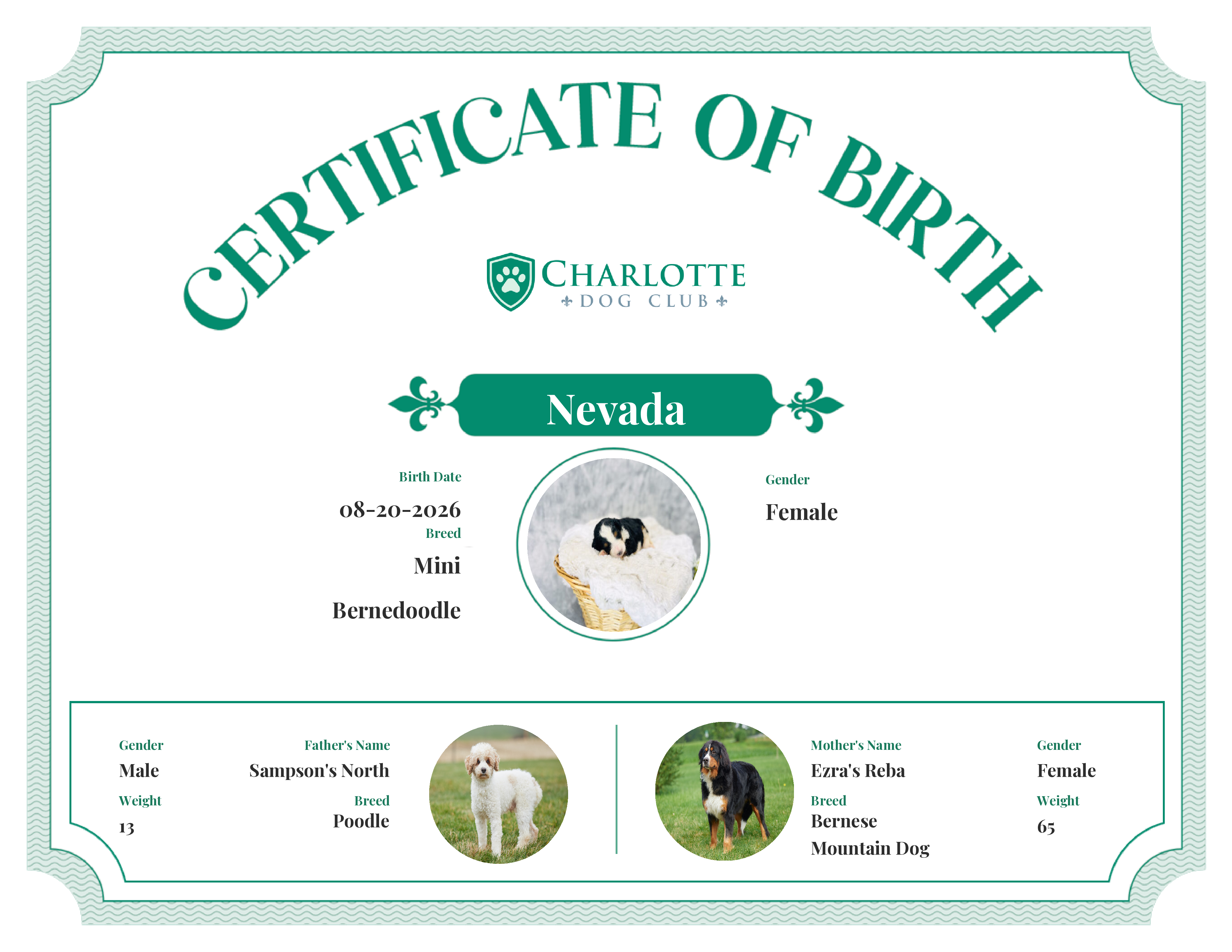 Nevada's Birth Certificate