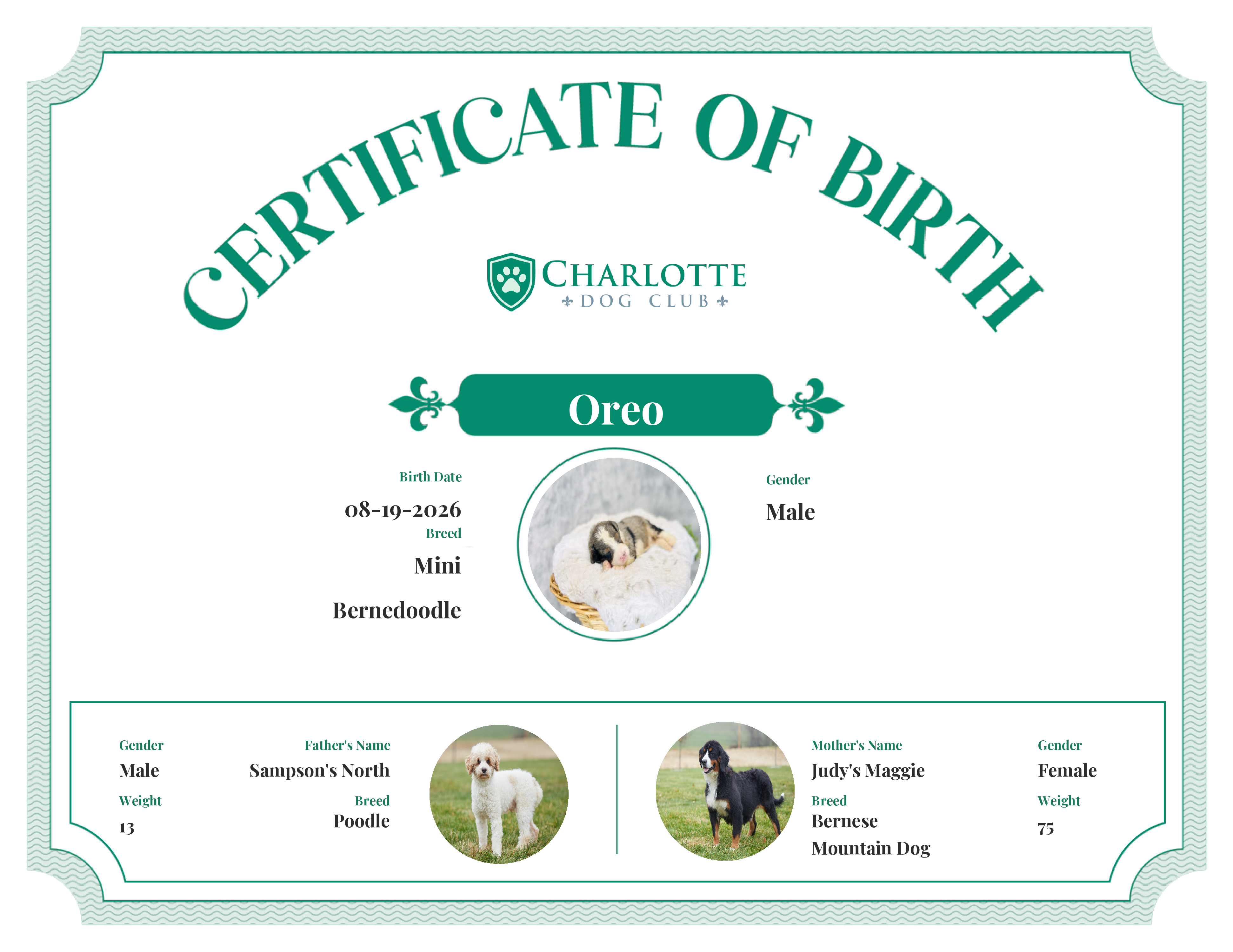 Oreo's Birth Certificate