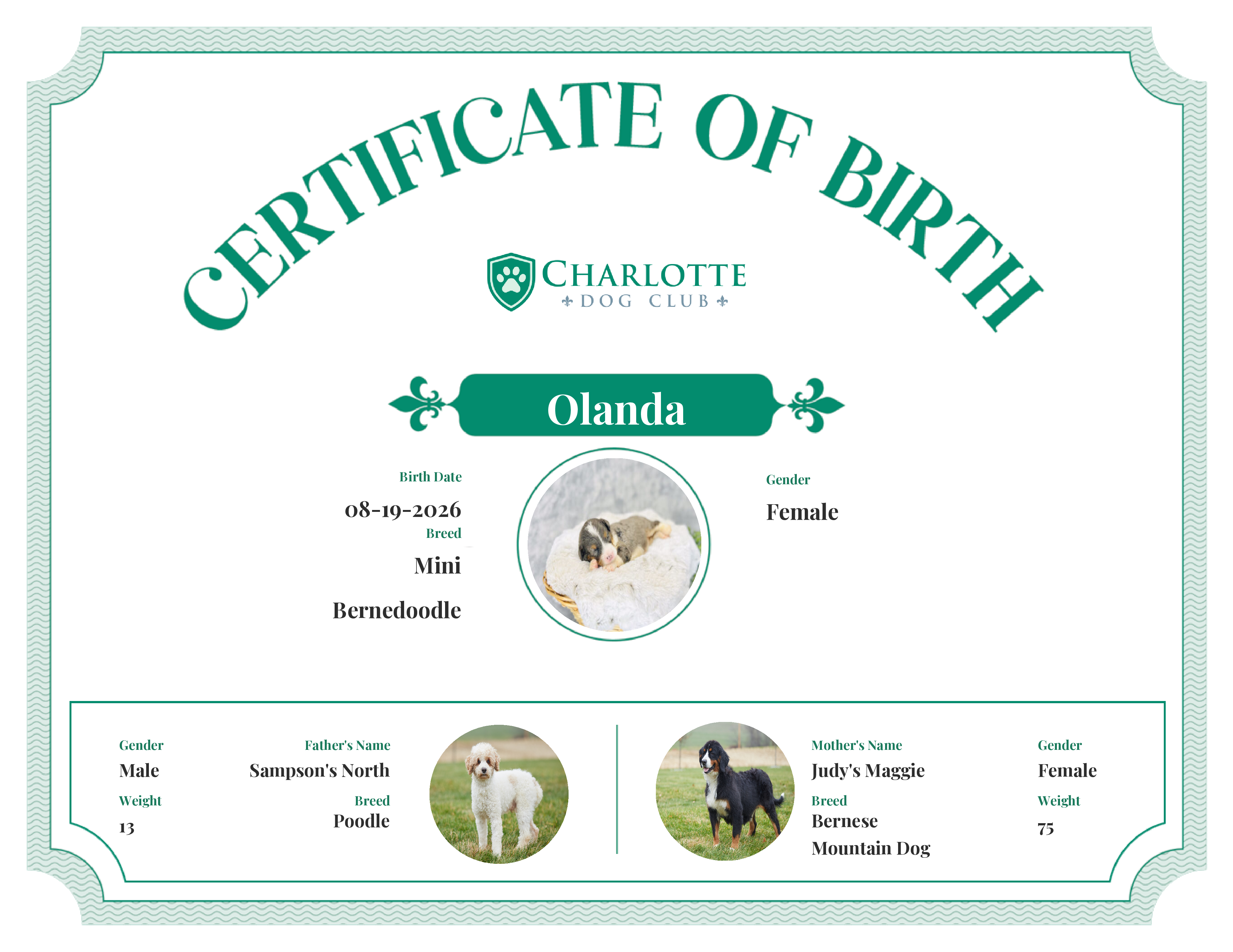 Olanda's Birth Certificate