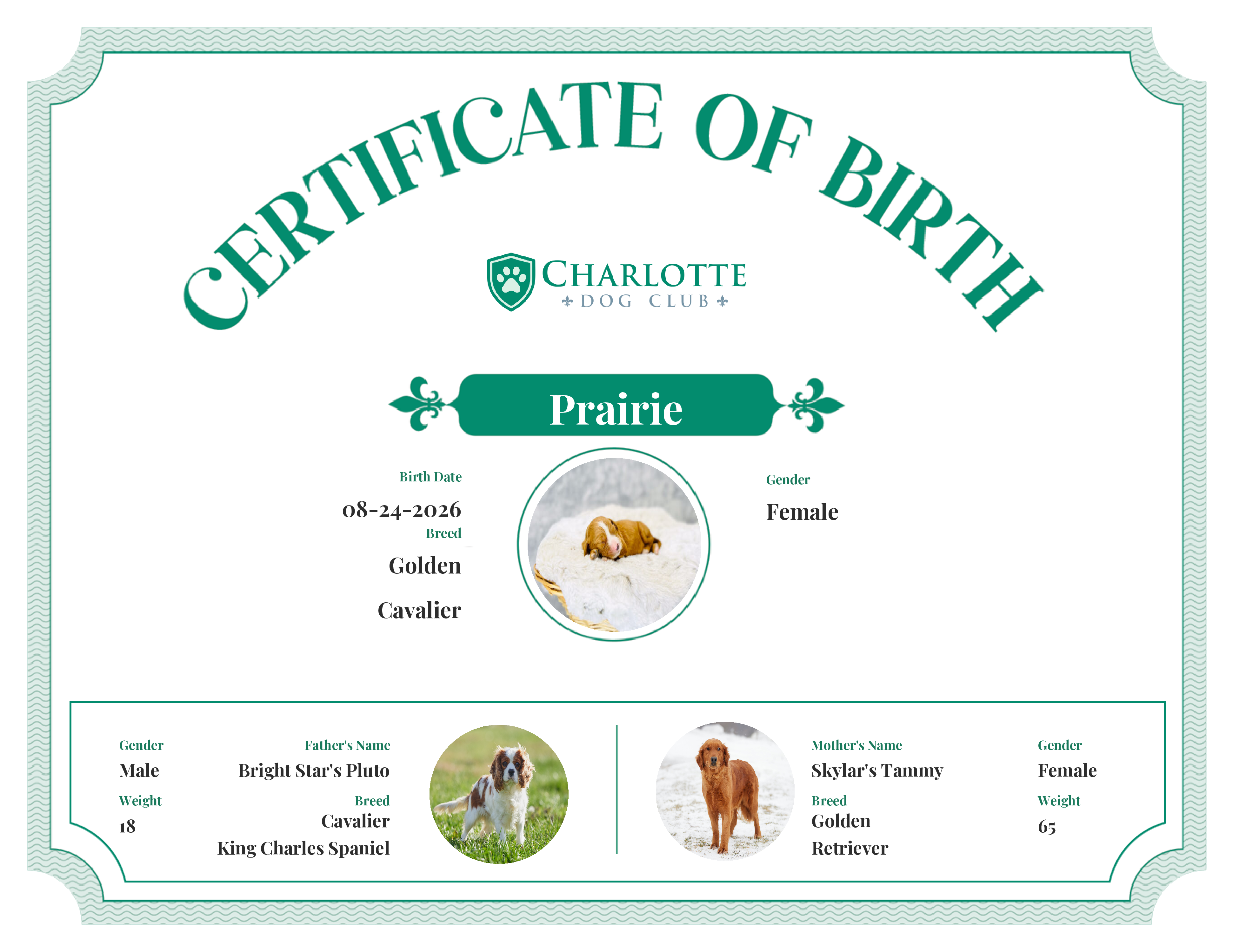 Prairie's Birth Certificate