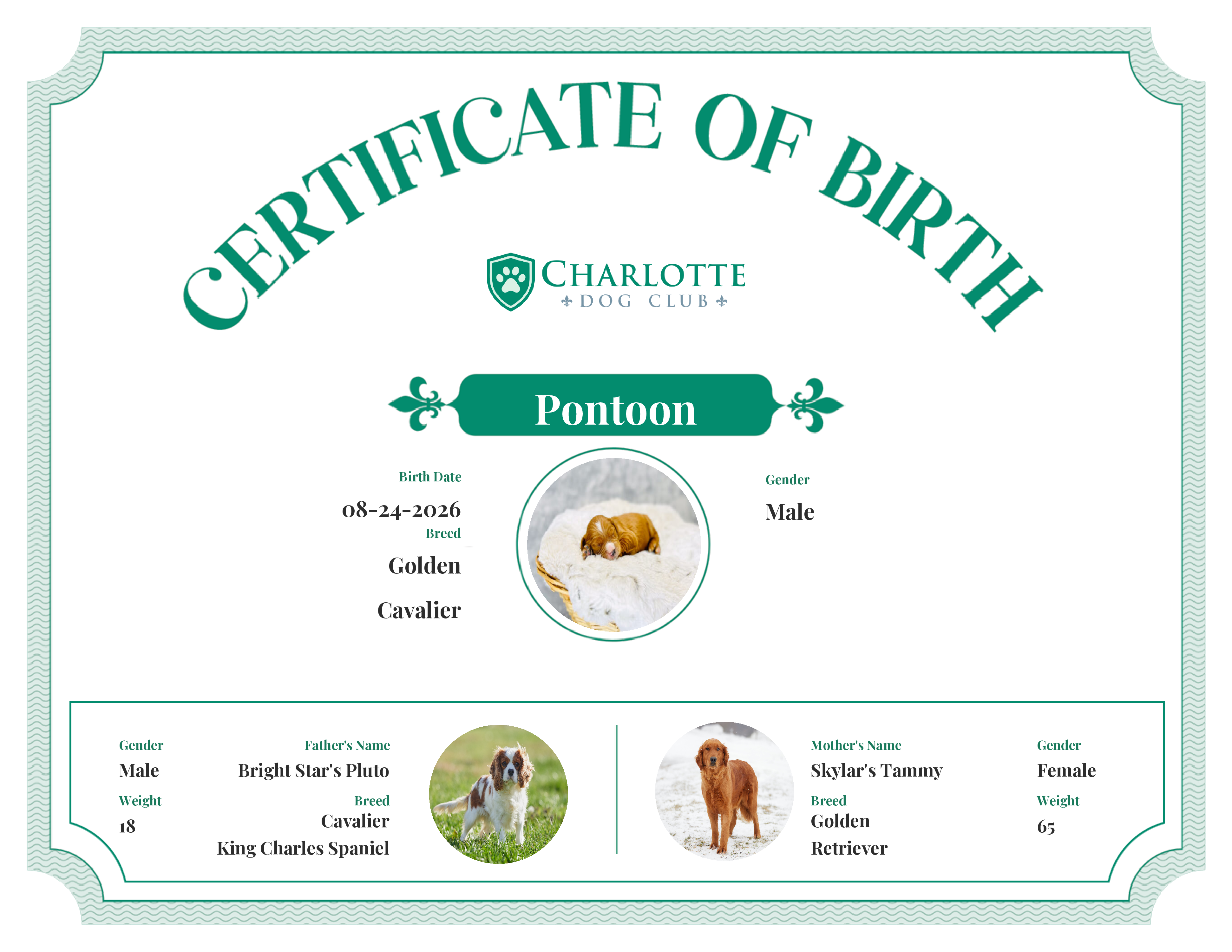 Pontoon's Birth Certificate