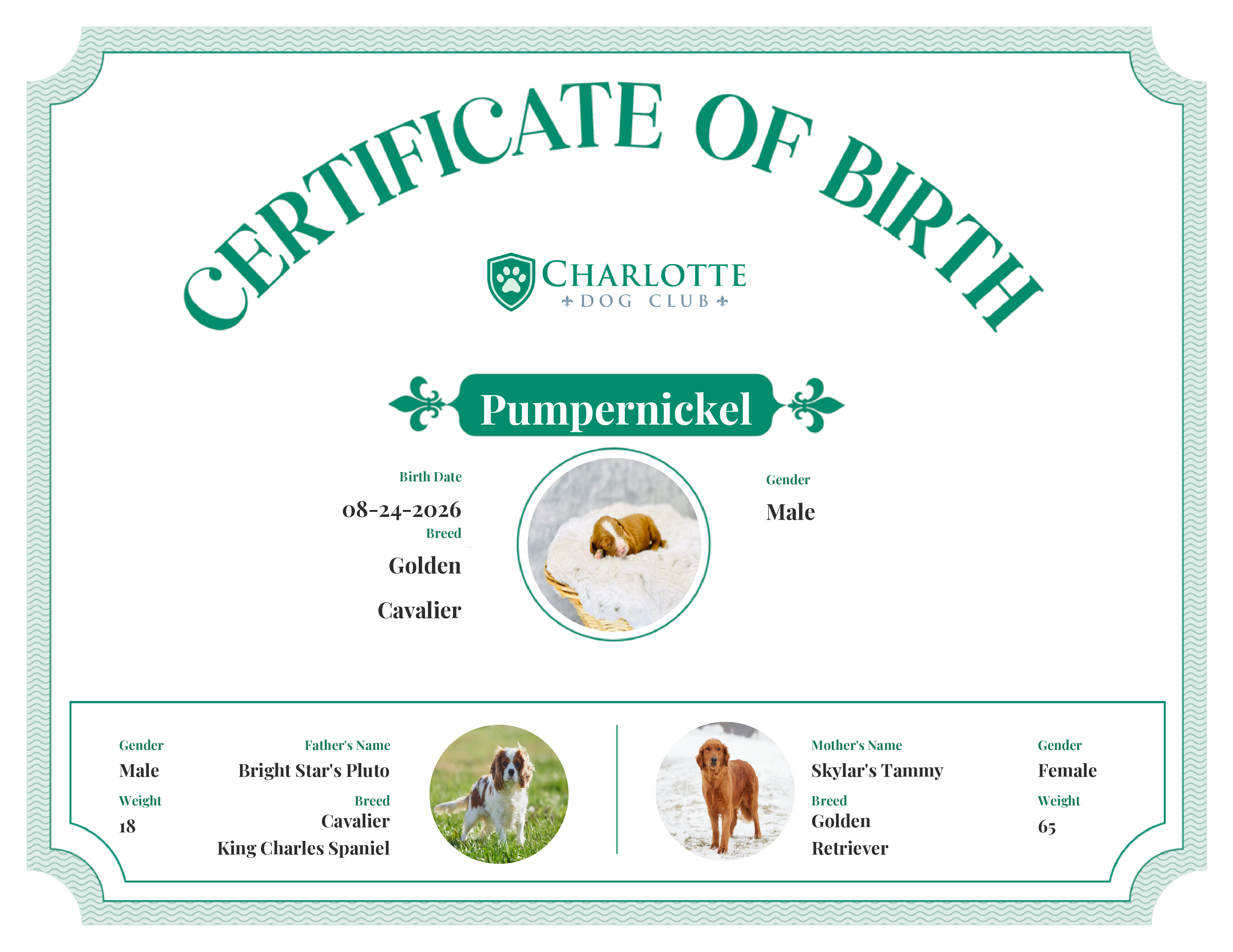 Pumpernickel's Birth Certificate