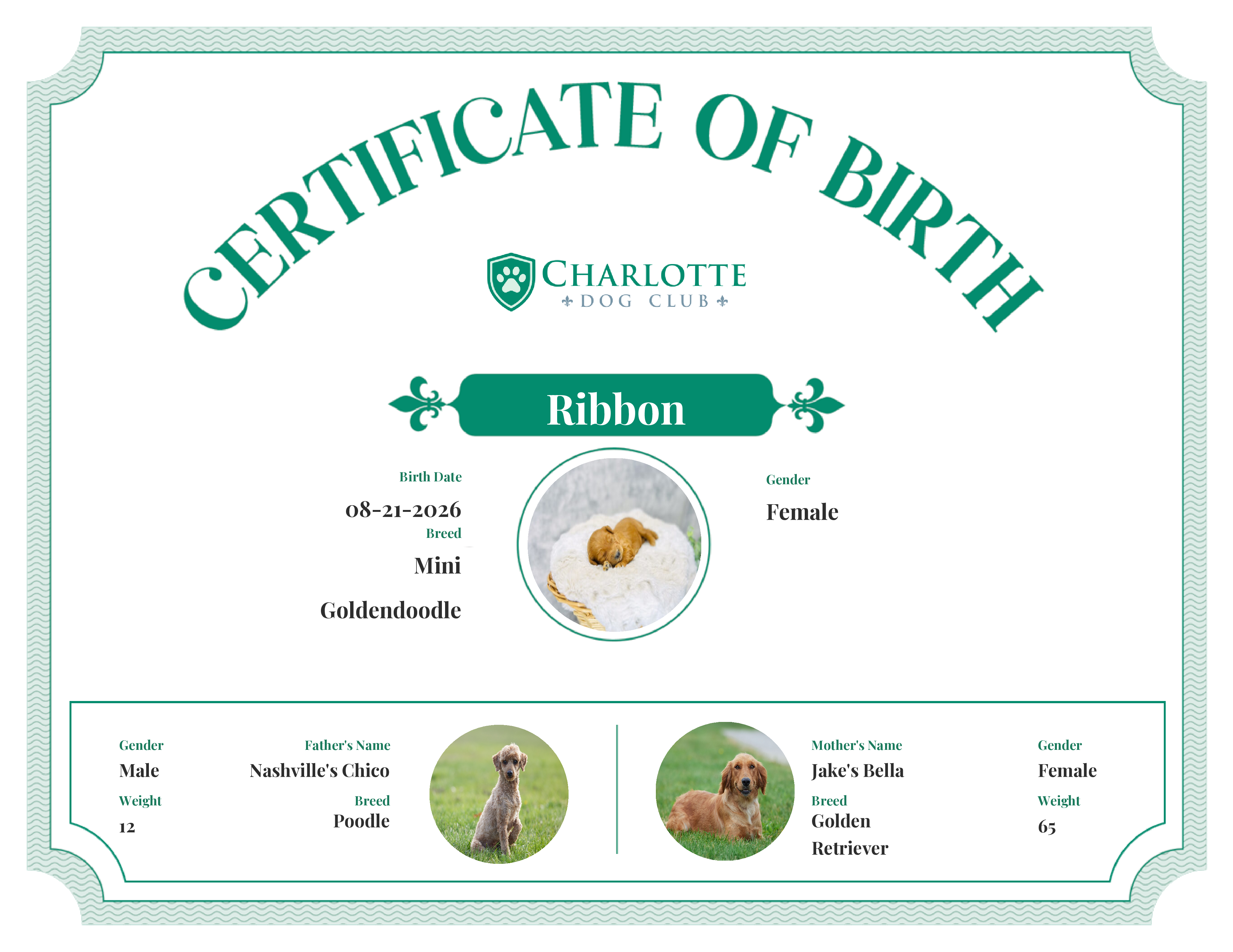 Ribbon's Birth Certificate