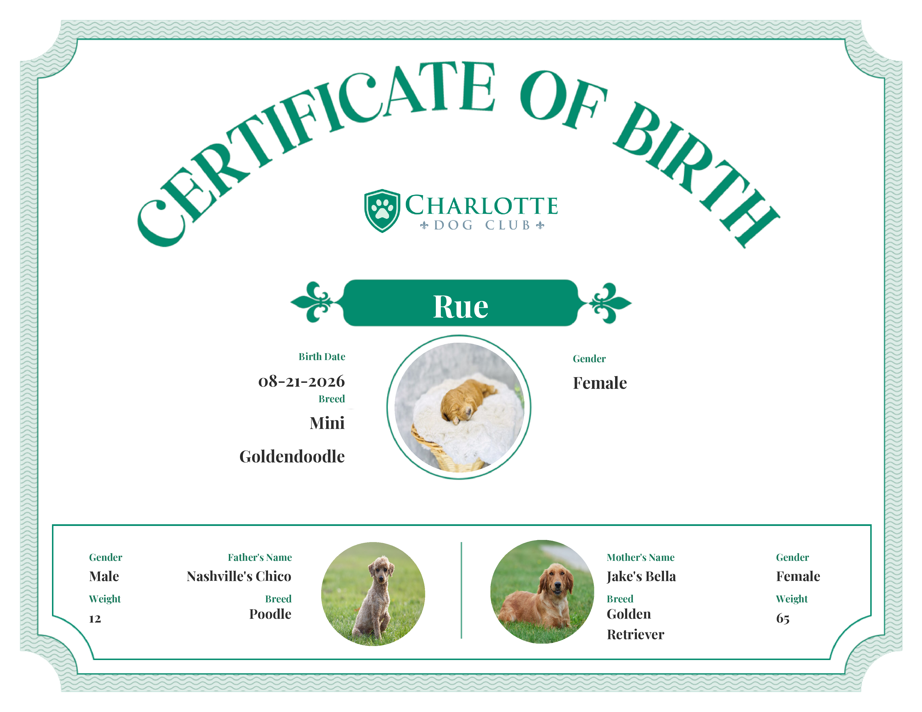 Rue's Birth Certificate