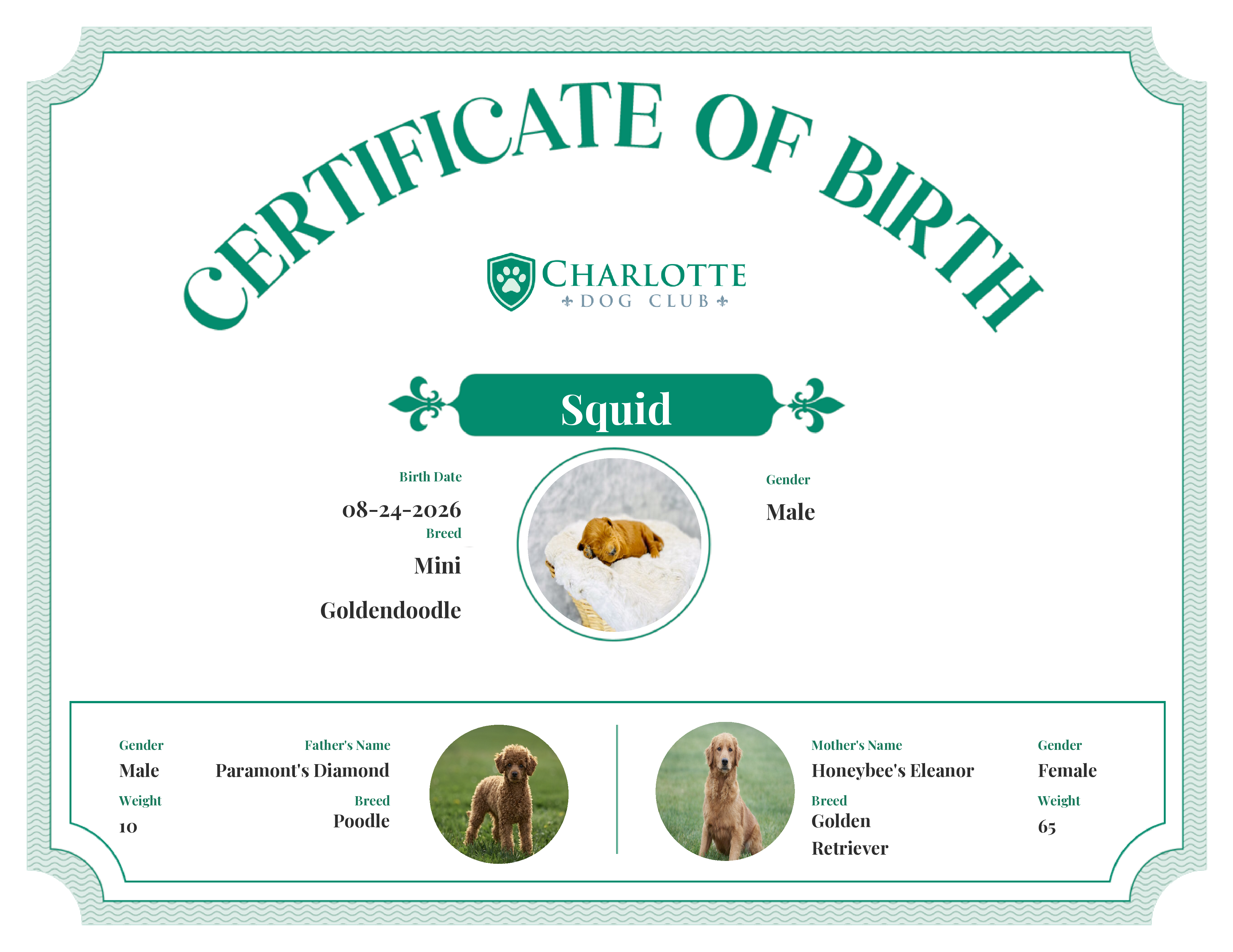 Squid's Birth Certificate