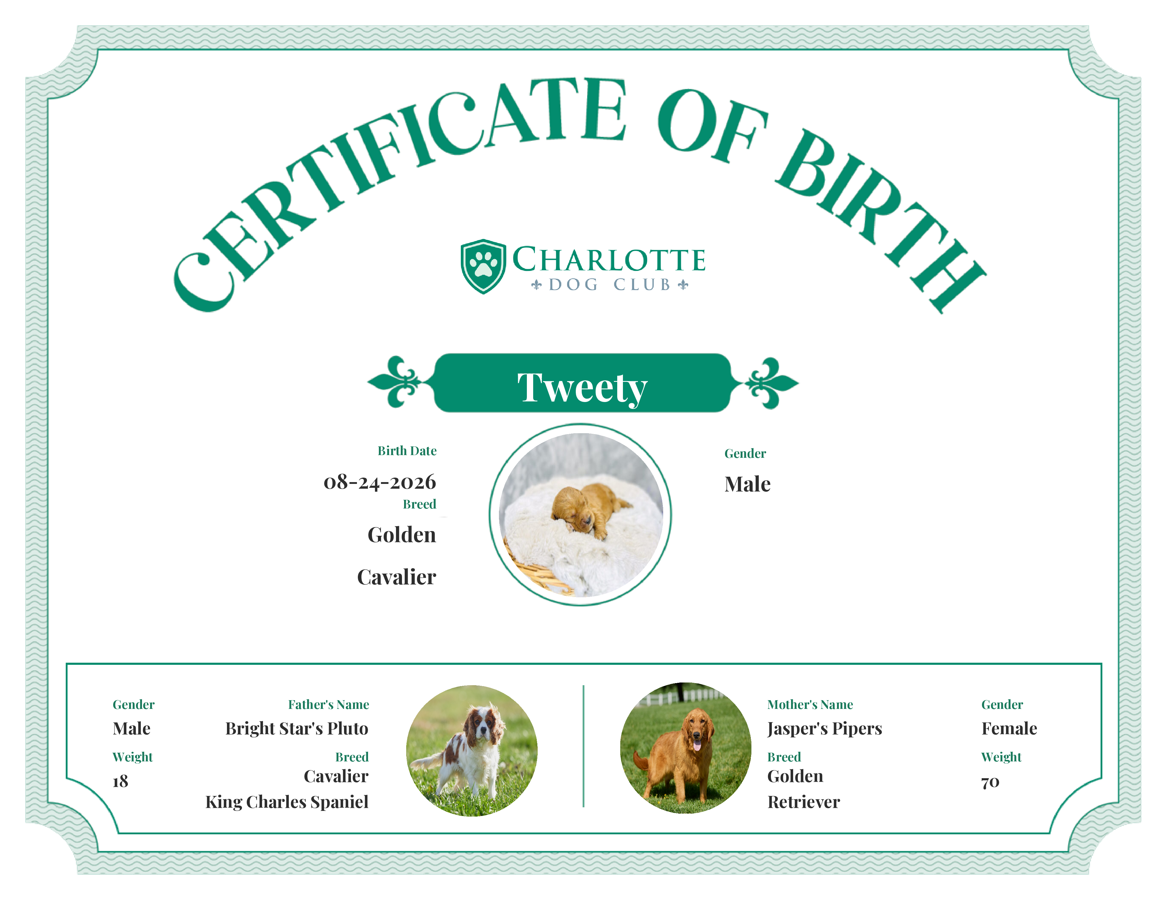 Tweety's Birth Certificate