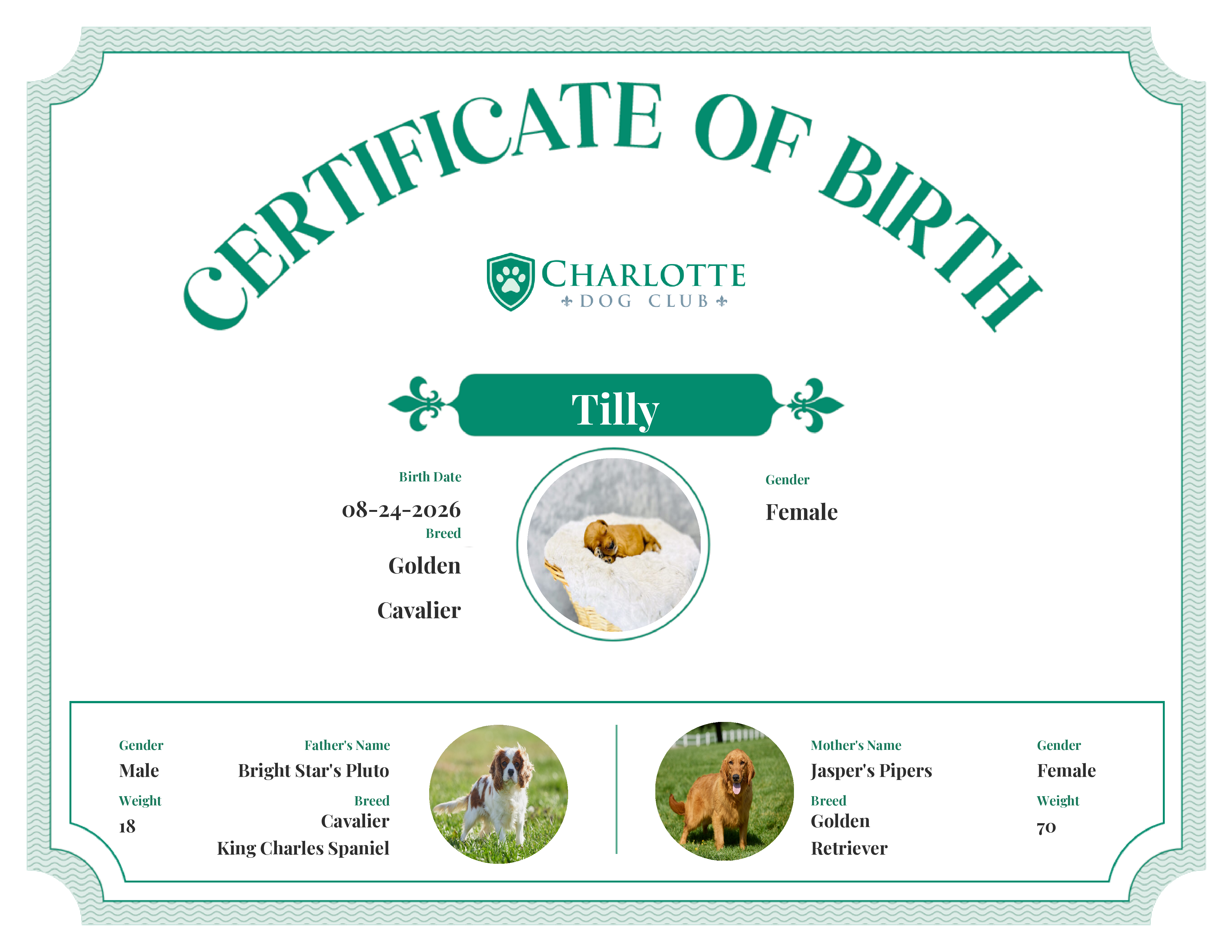 Tilly's Birth Certificate