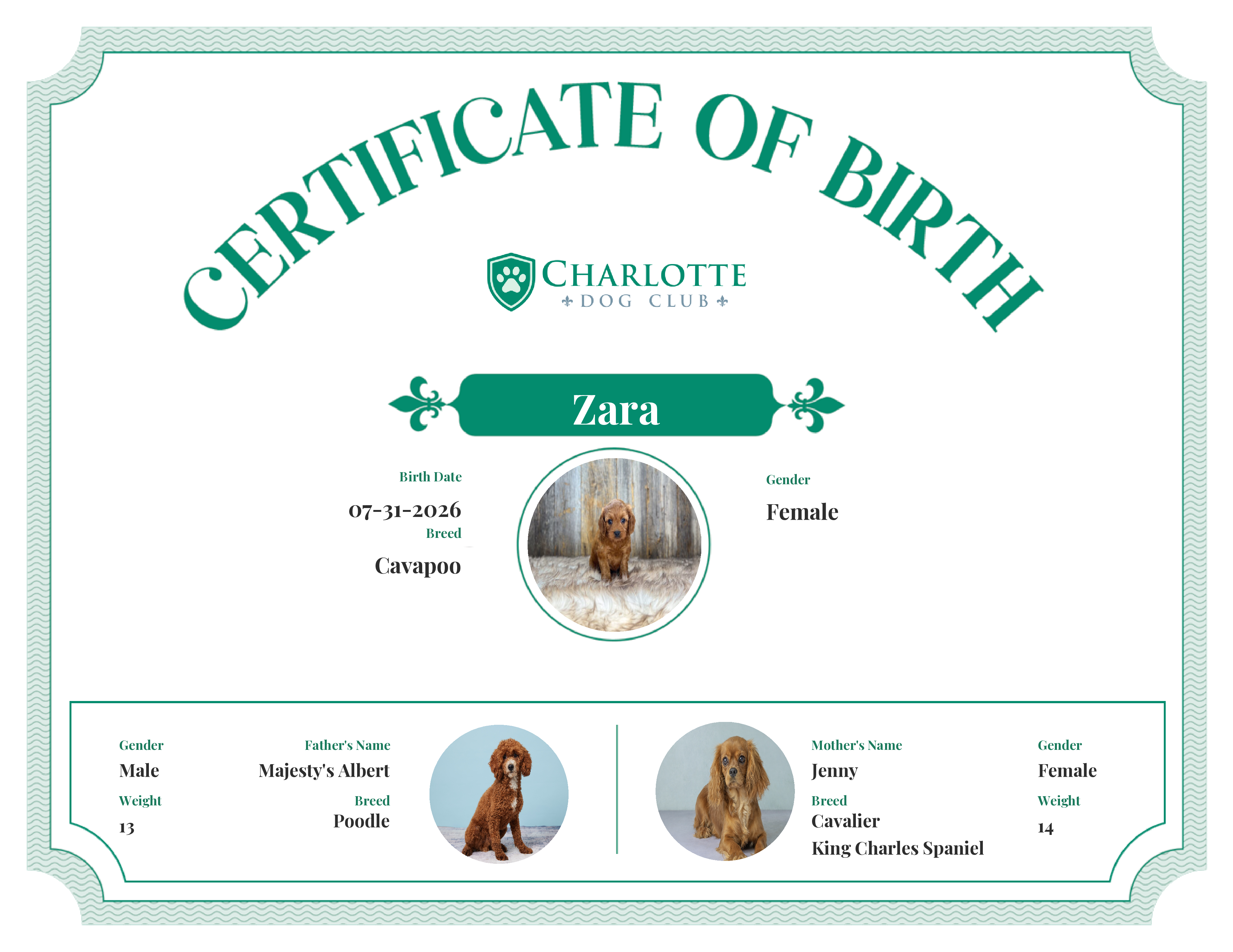 Zara's Birth Certificate