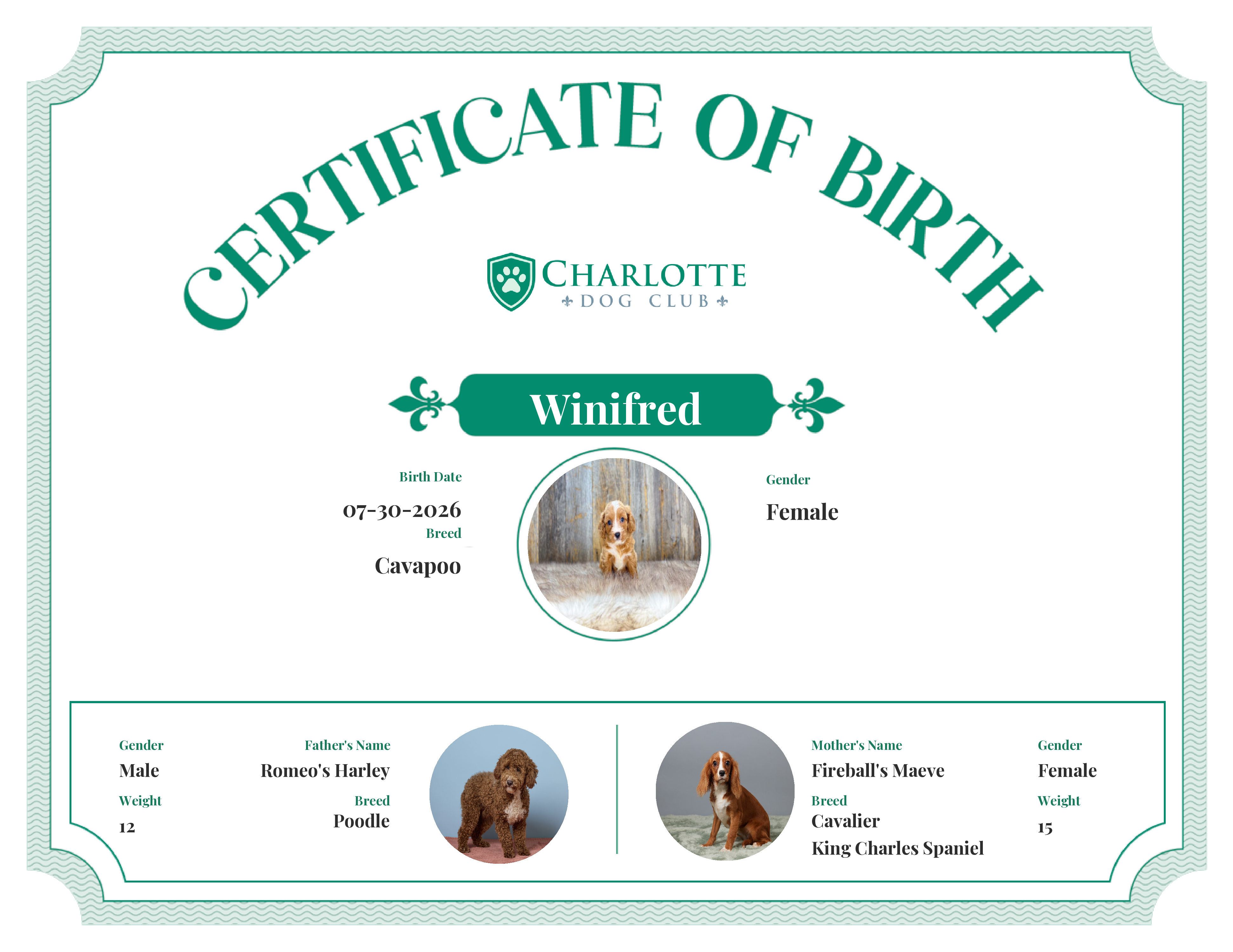Winifred's Birth Certificate