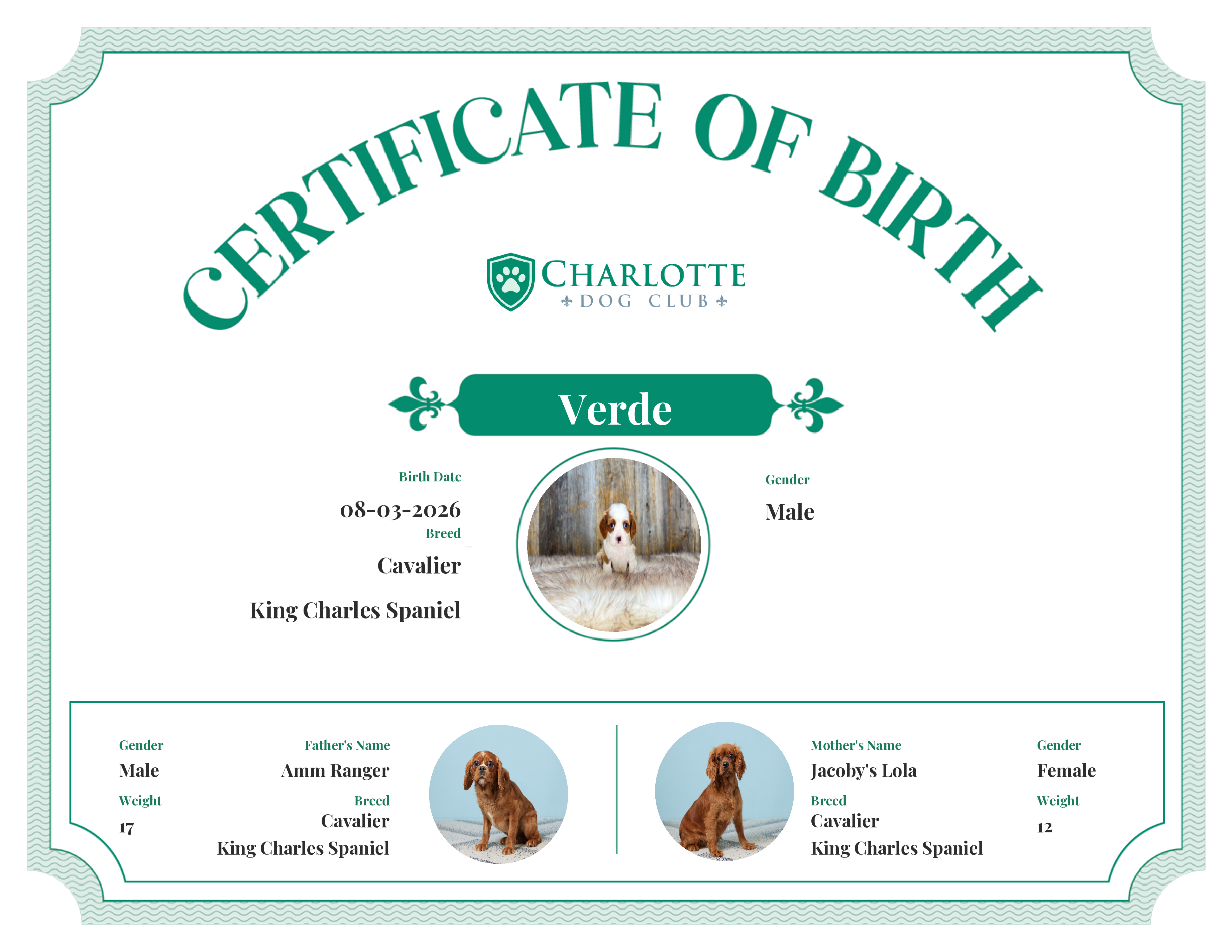 Verde's Birth Certificate