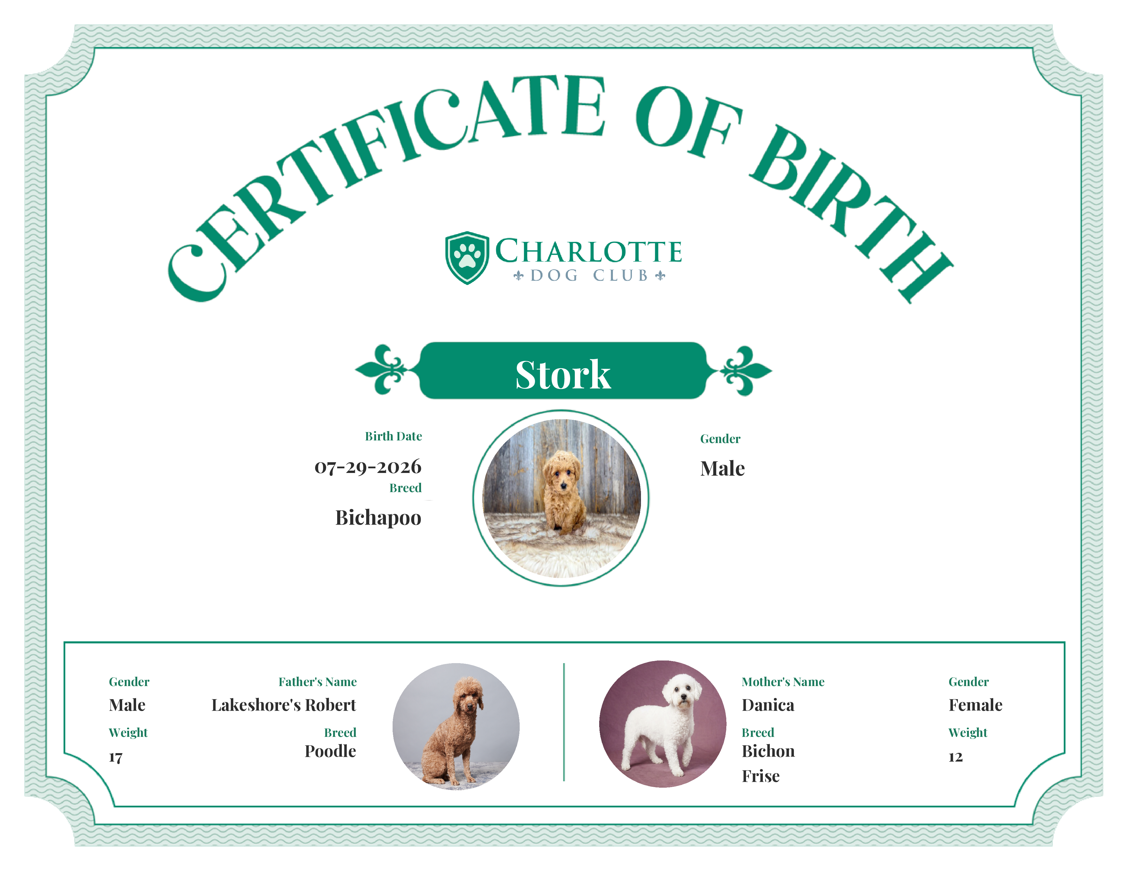 Stork's Birth Certificate