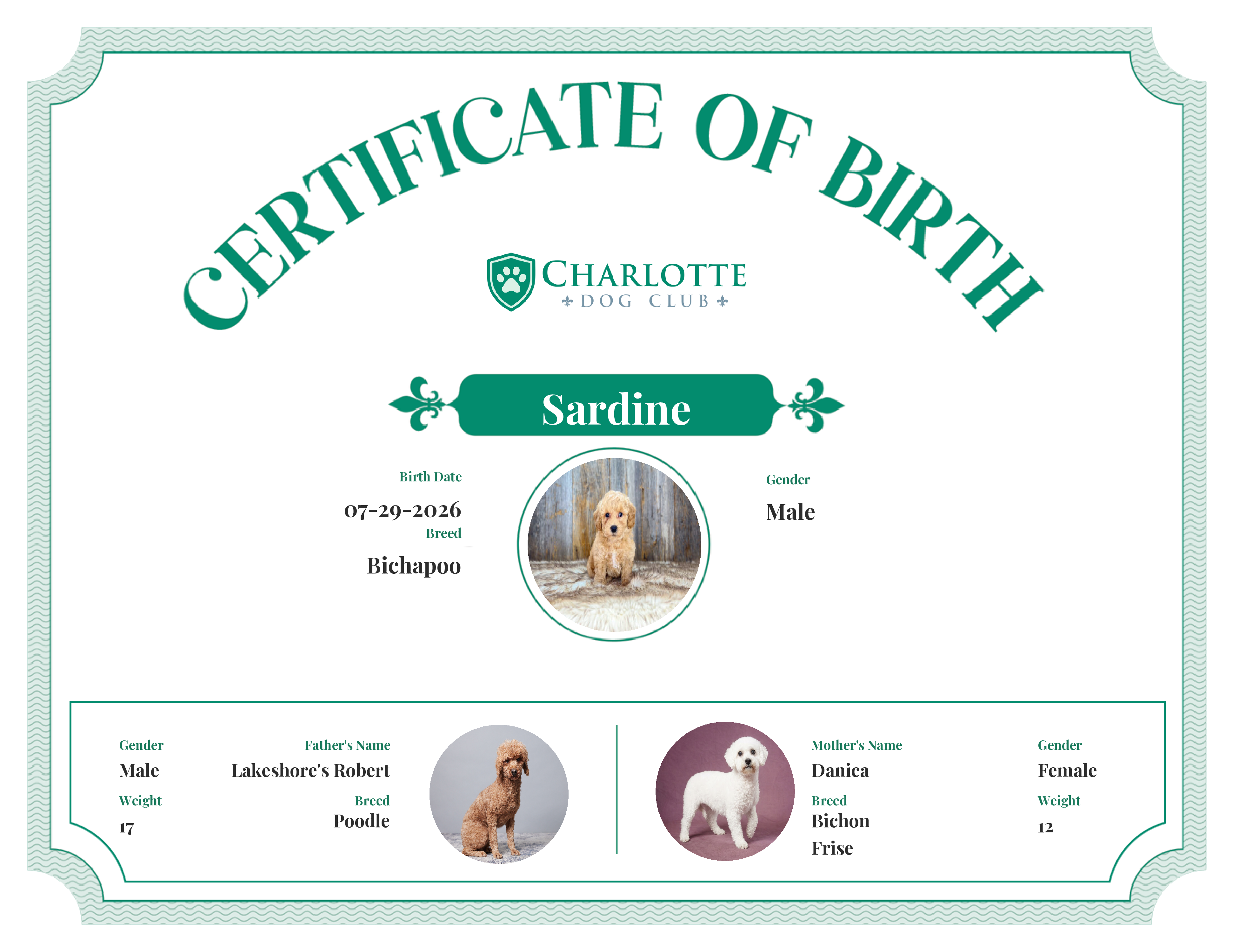 Sardine's Birth Certificate