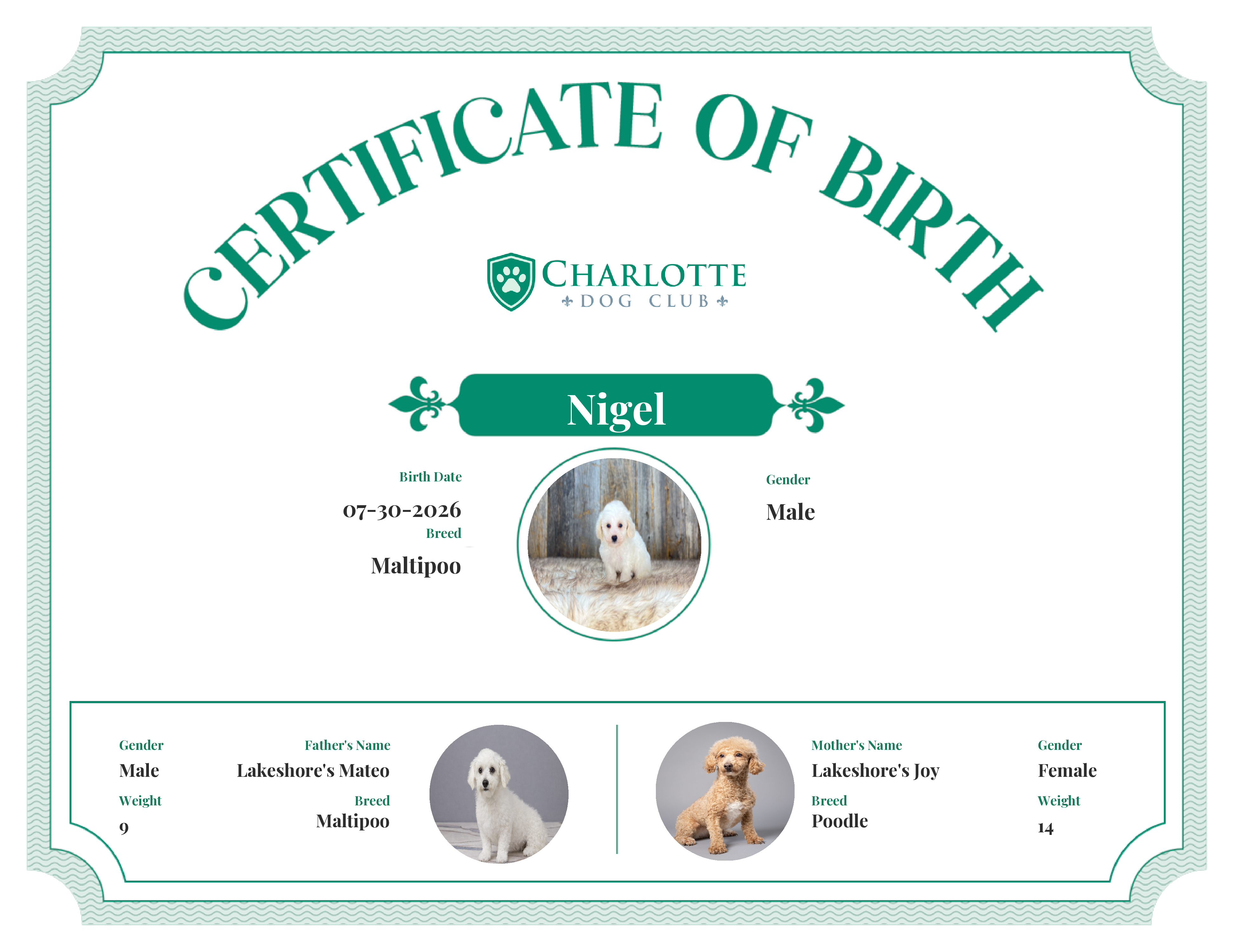 Nigel's Birth Certificate
