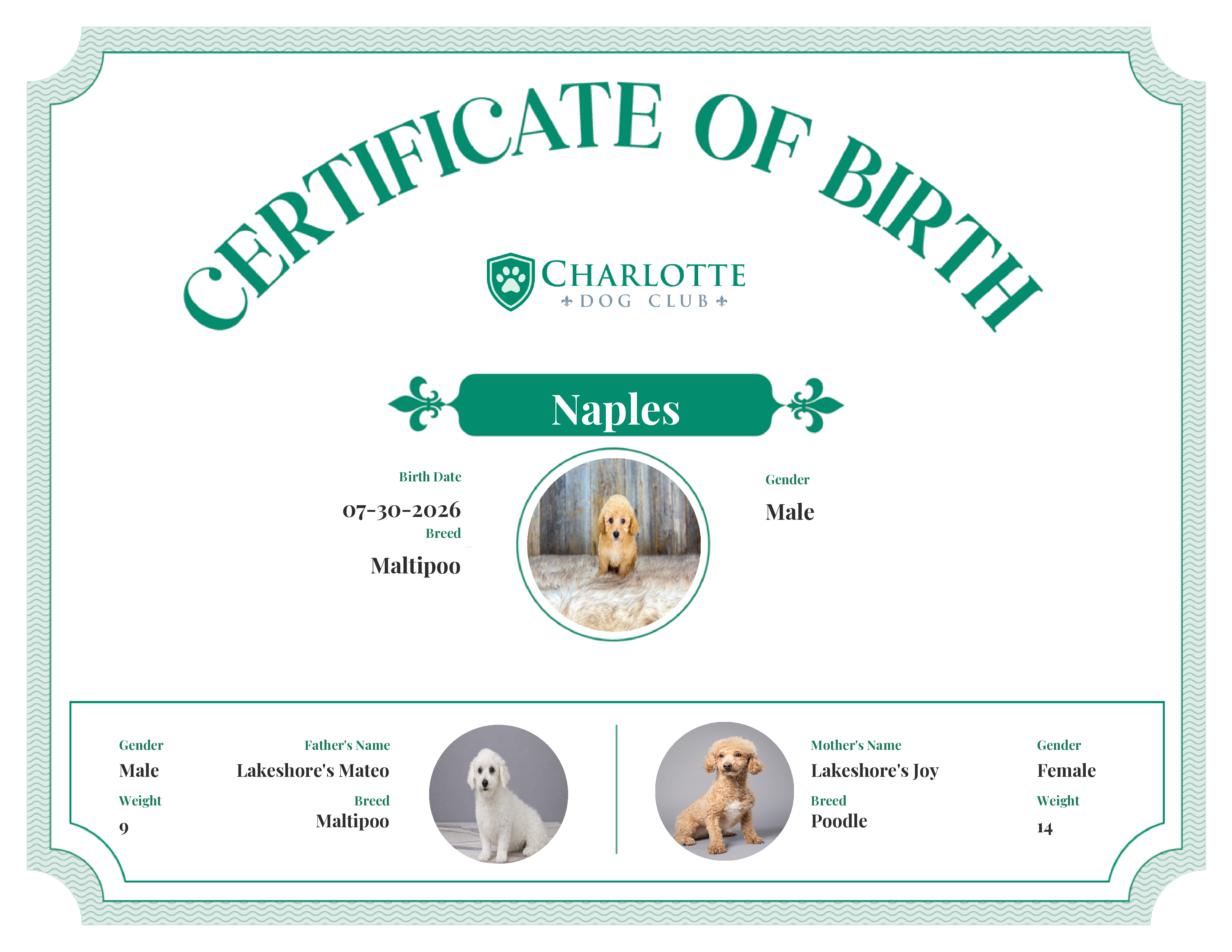 Naples's Birth Certificate