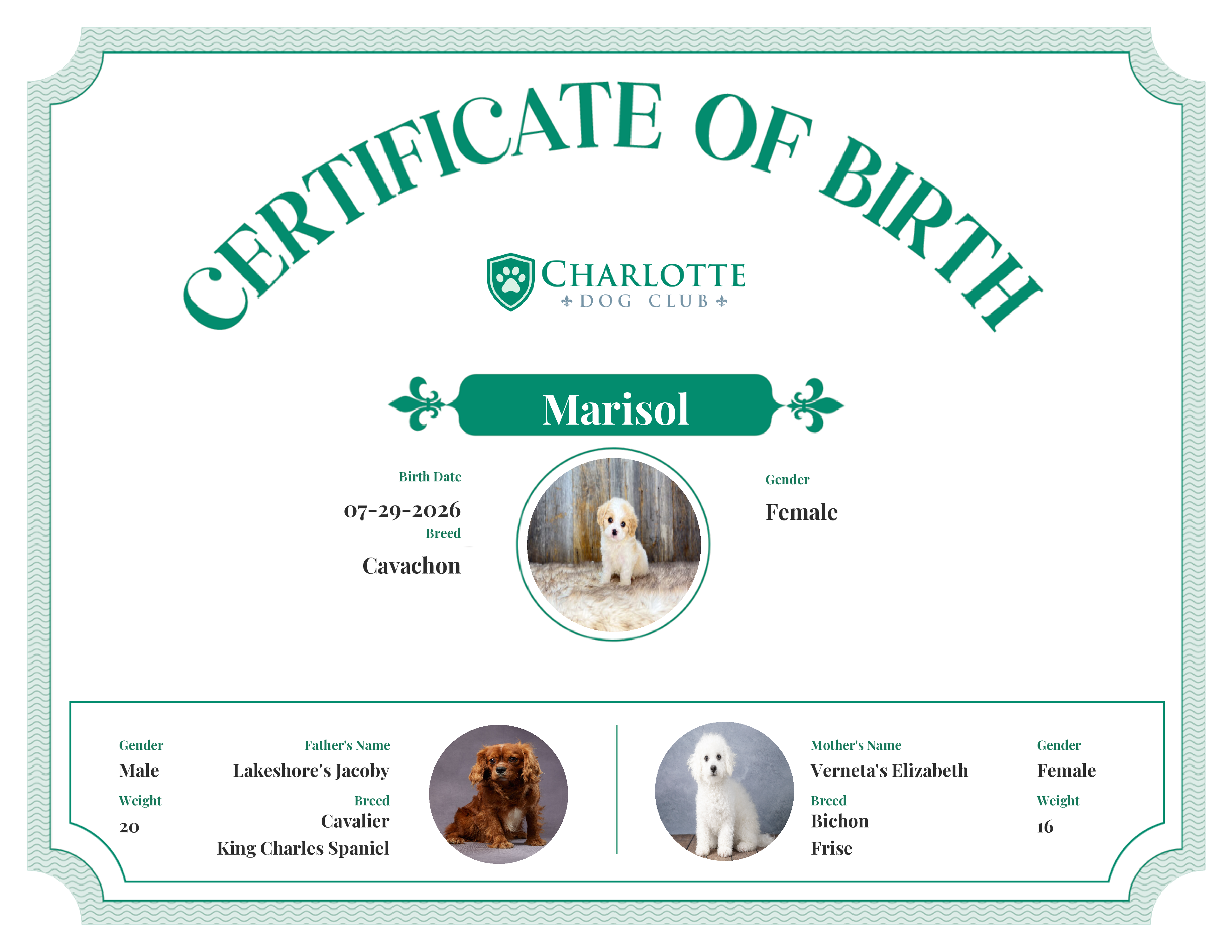 Marisol's Birth Certificate