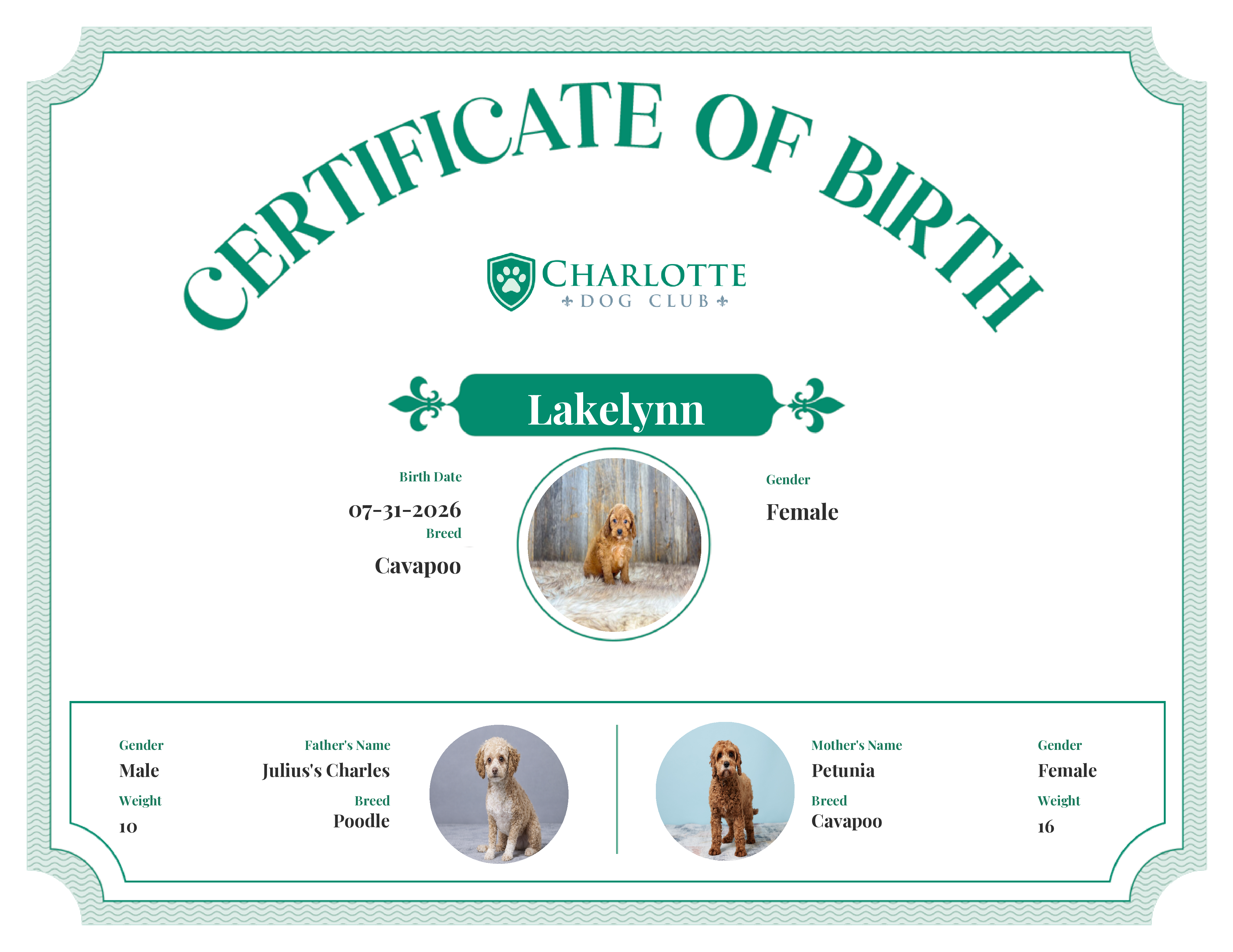 Lakelynn's Birth Certificate