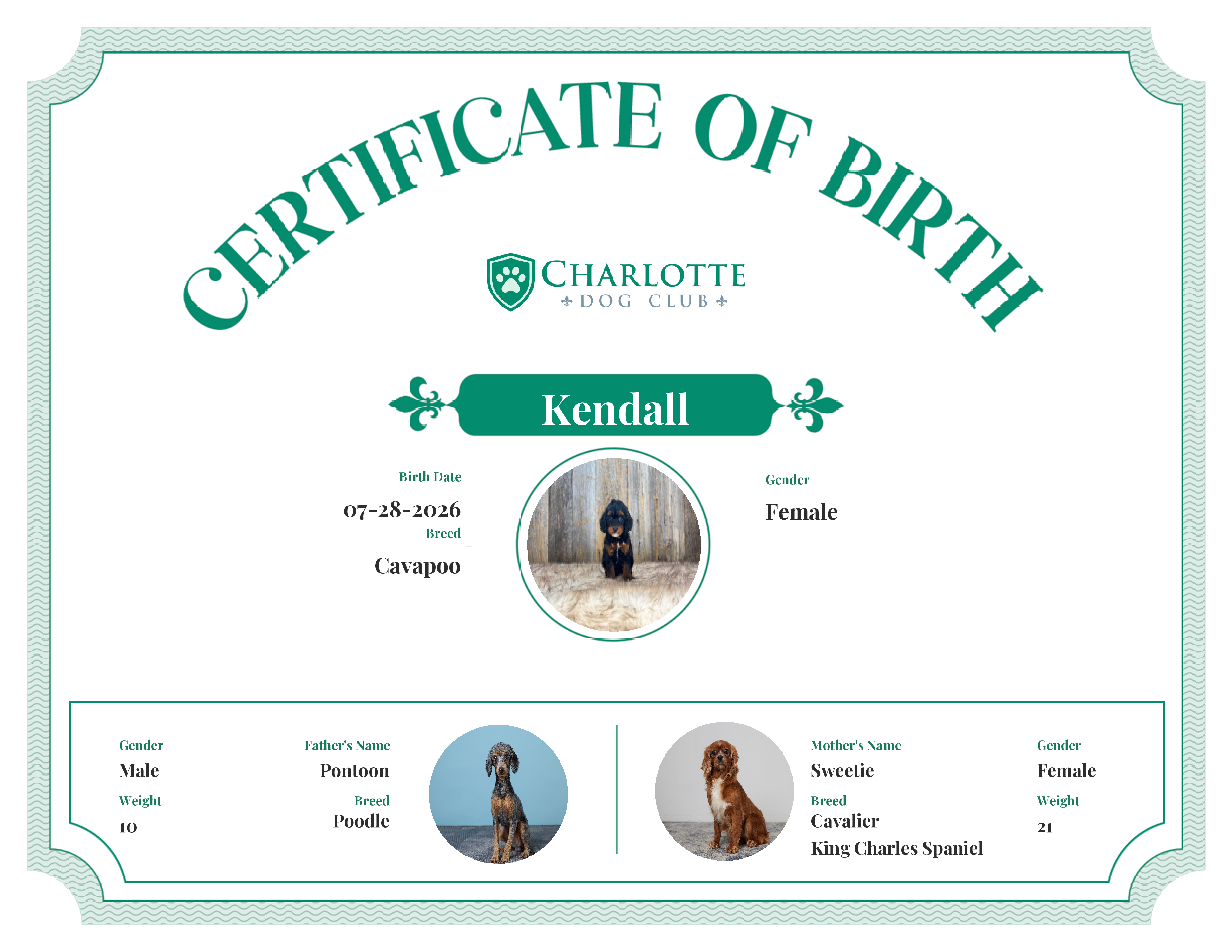 Kendall's Birth Certificate