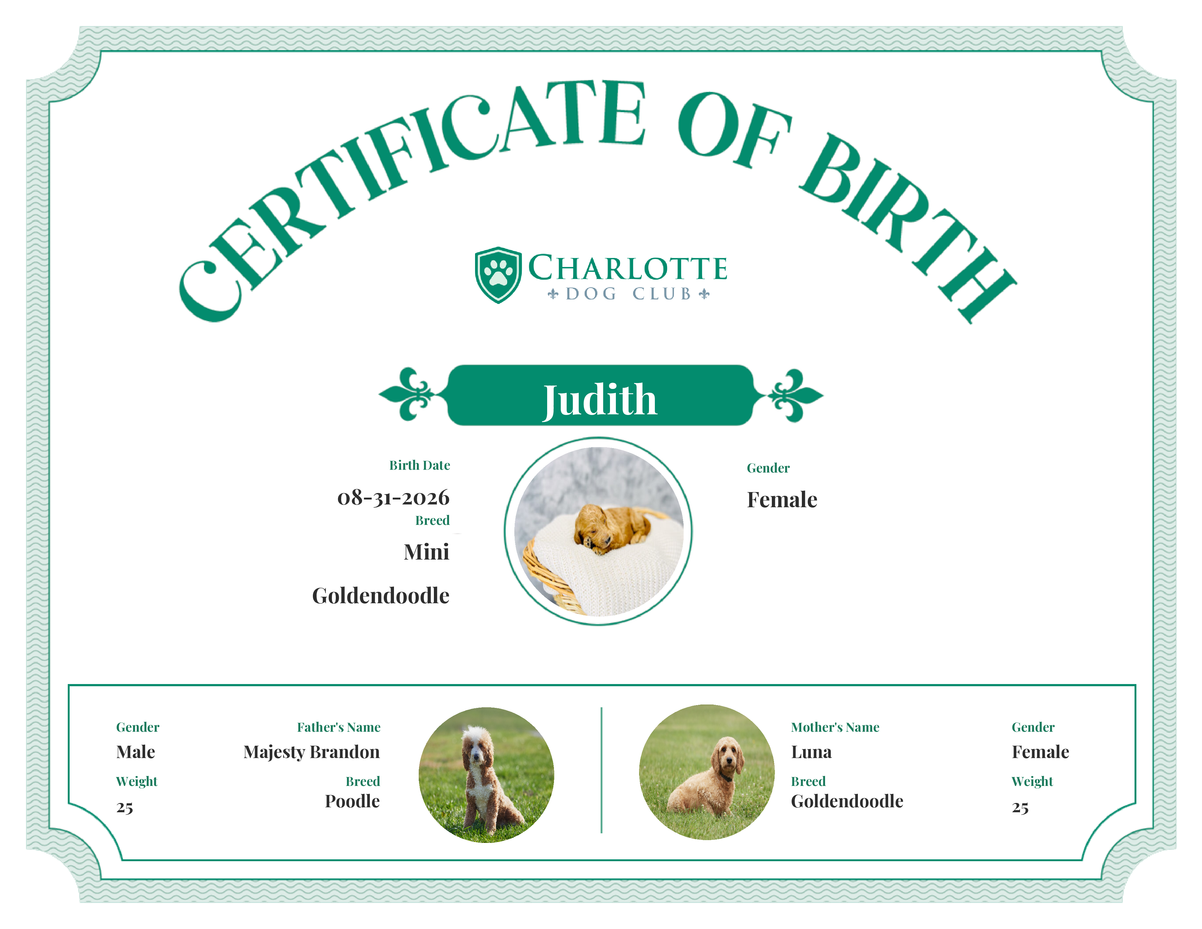 Judith's Birth Certificate