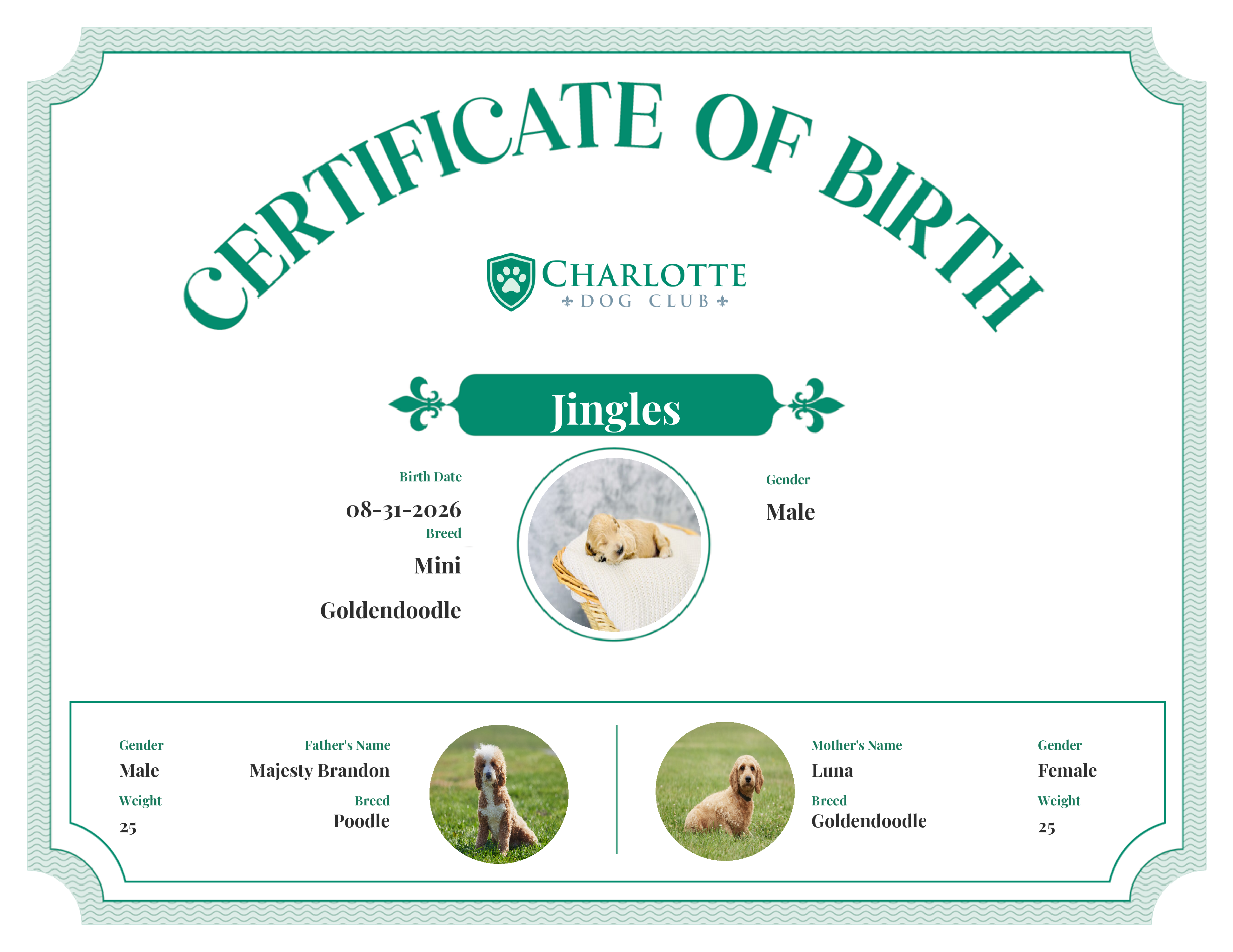 Jingles's Birth Certificate