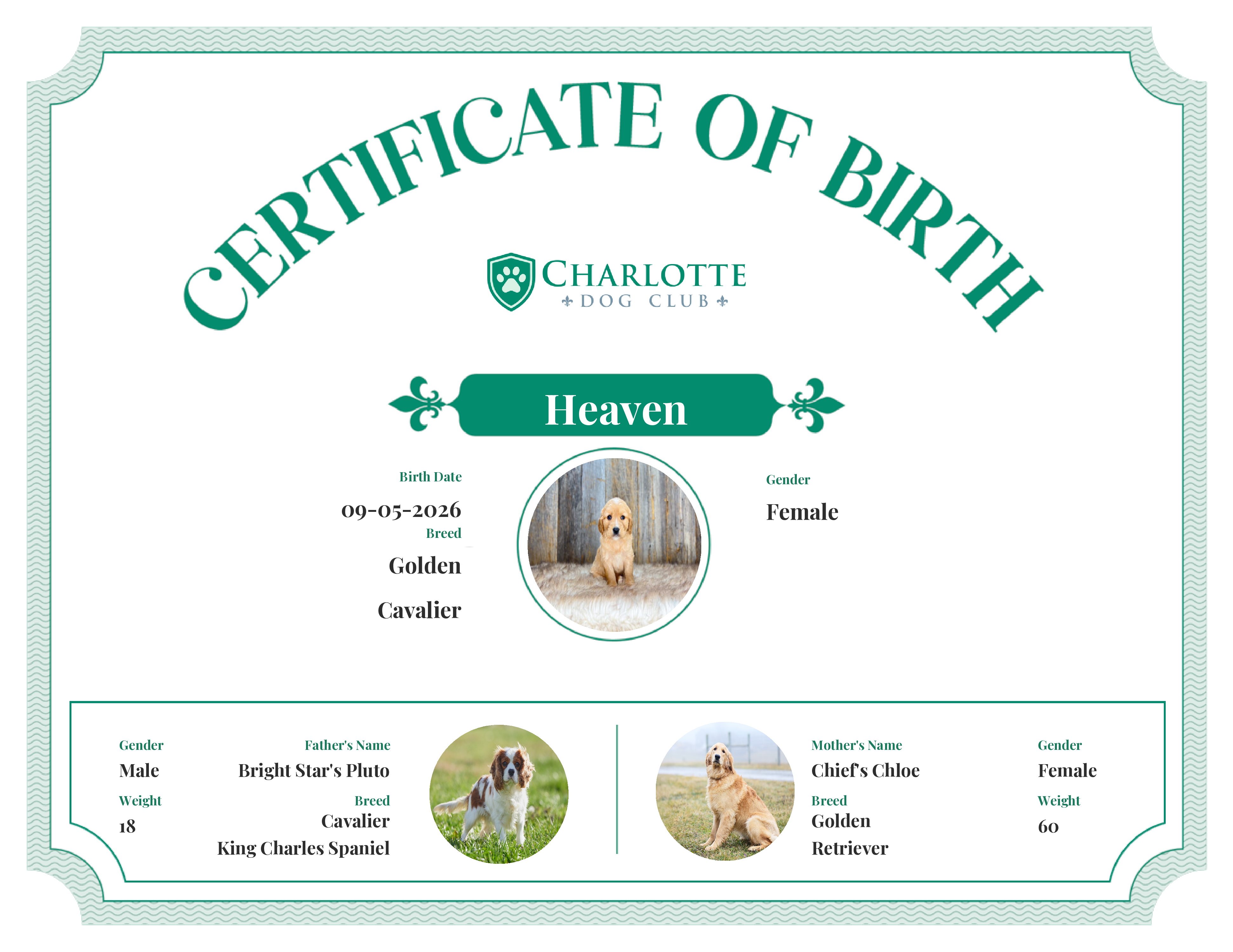 Heaven's Birth Certificate