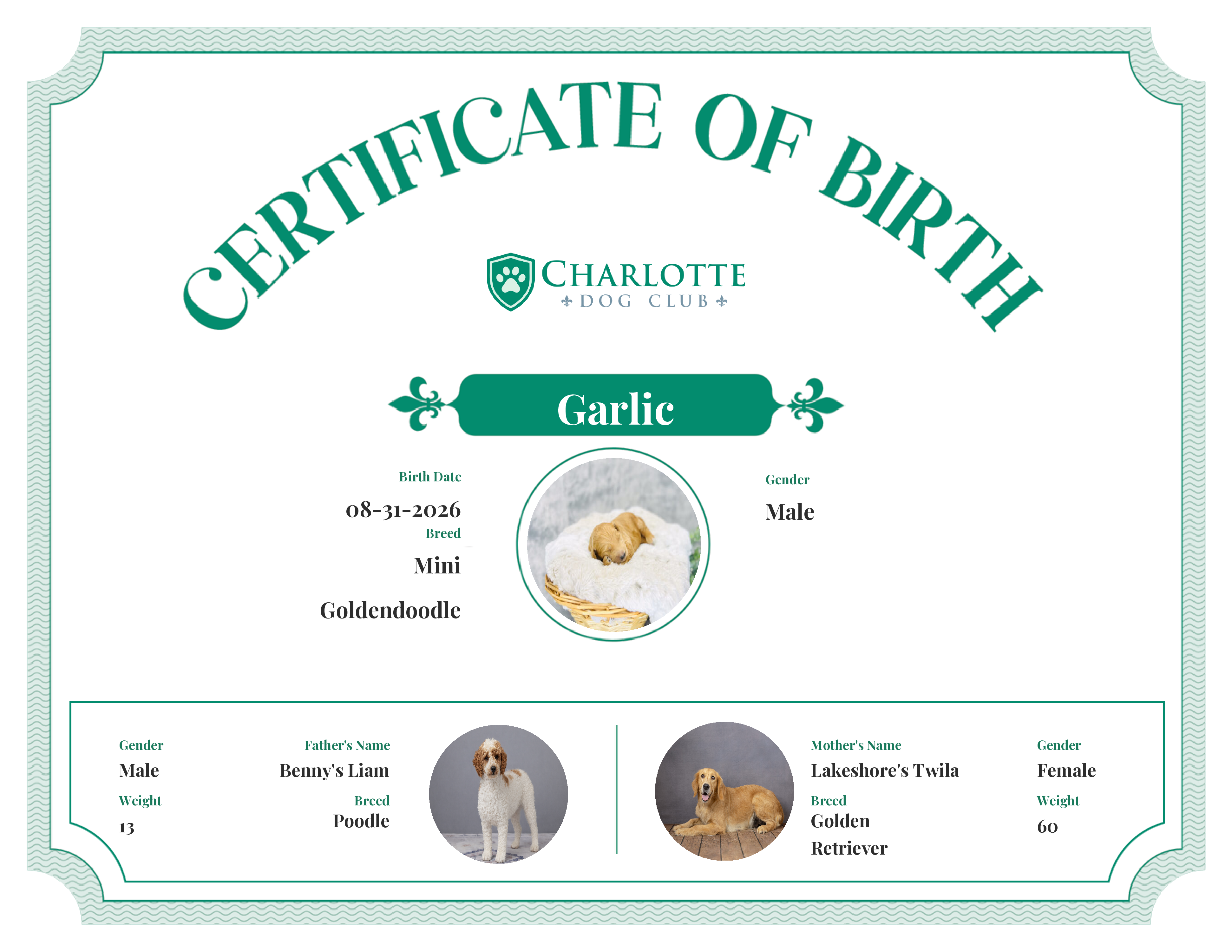 Garlic's Birth Certificate