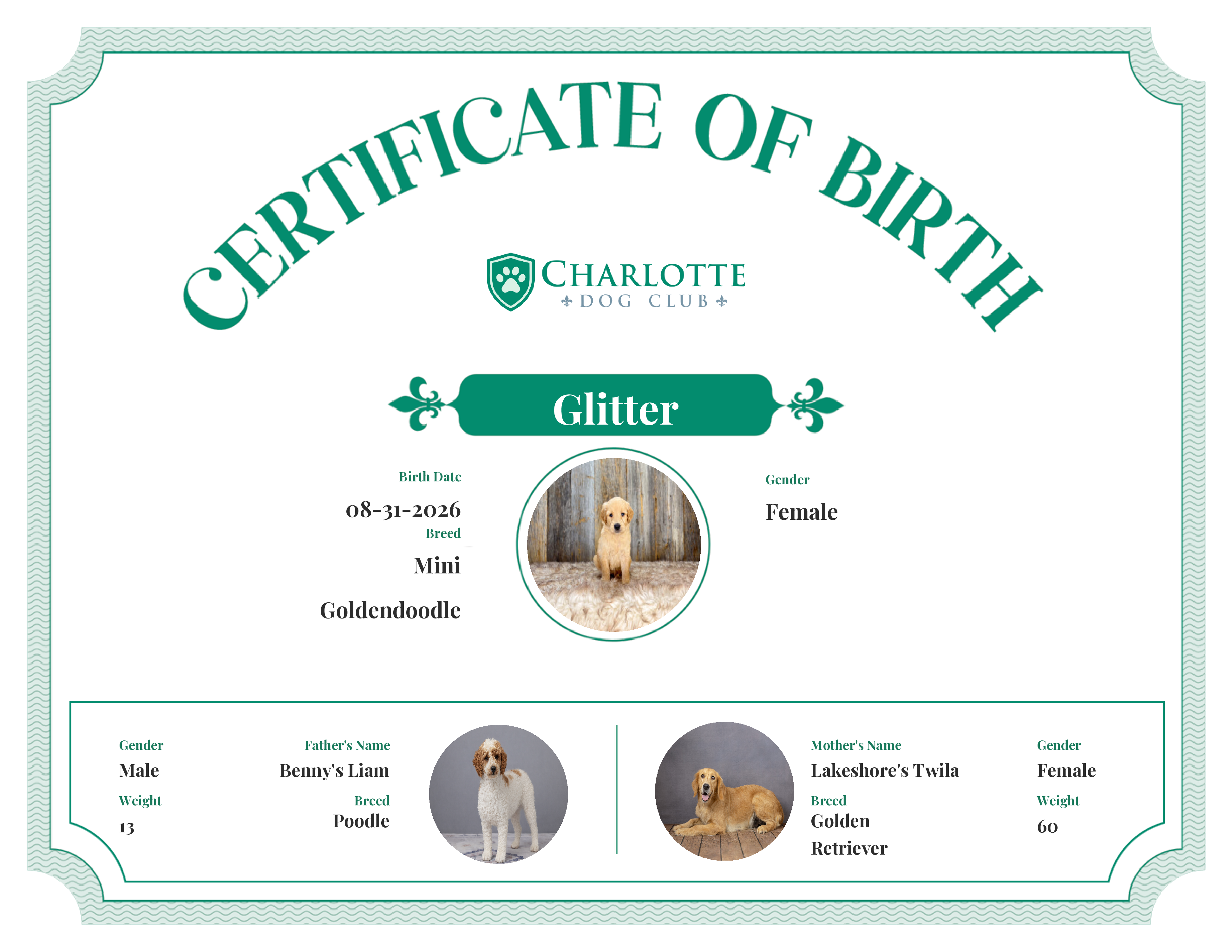 Glitter's Birth Certificate