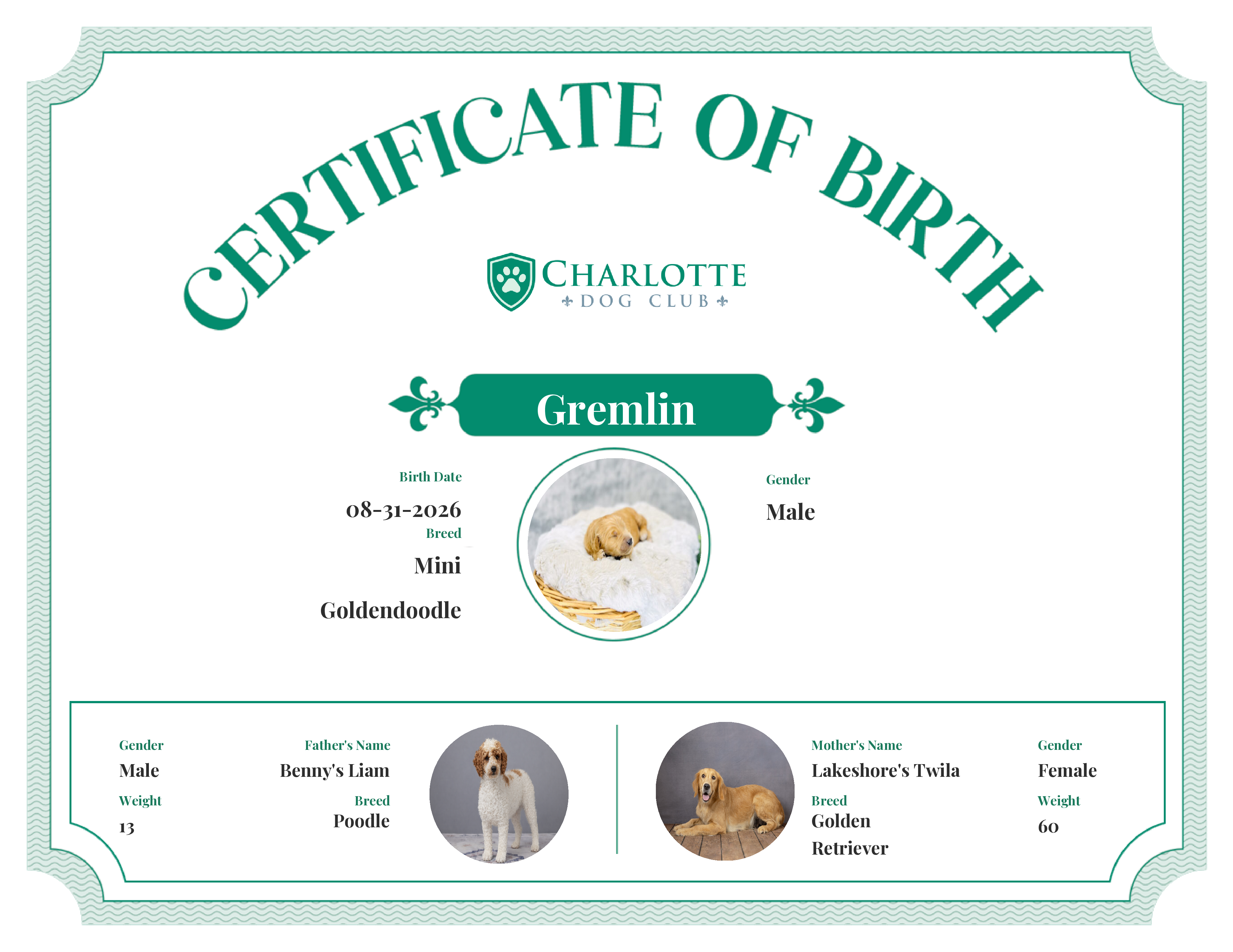 Gremlin's Birth Certificate