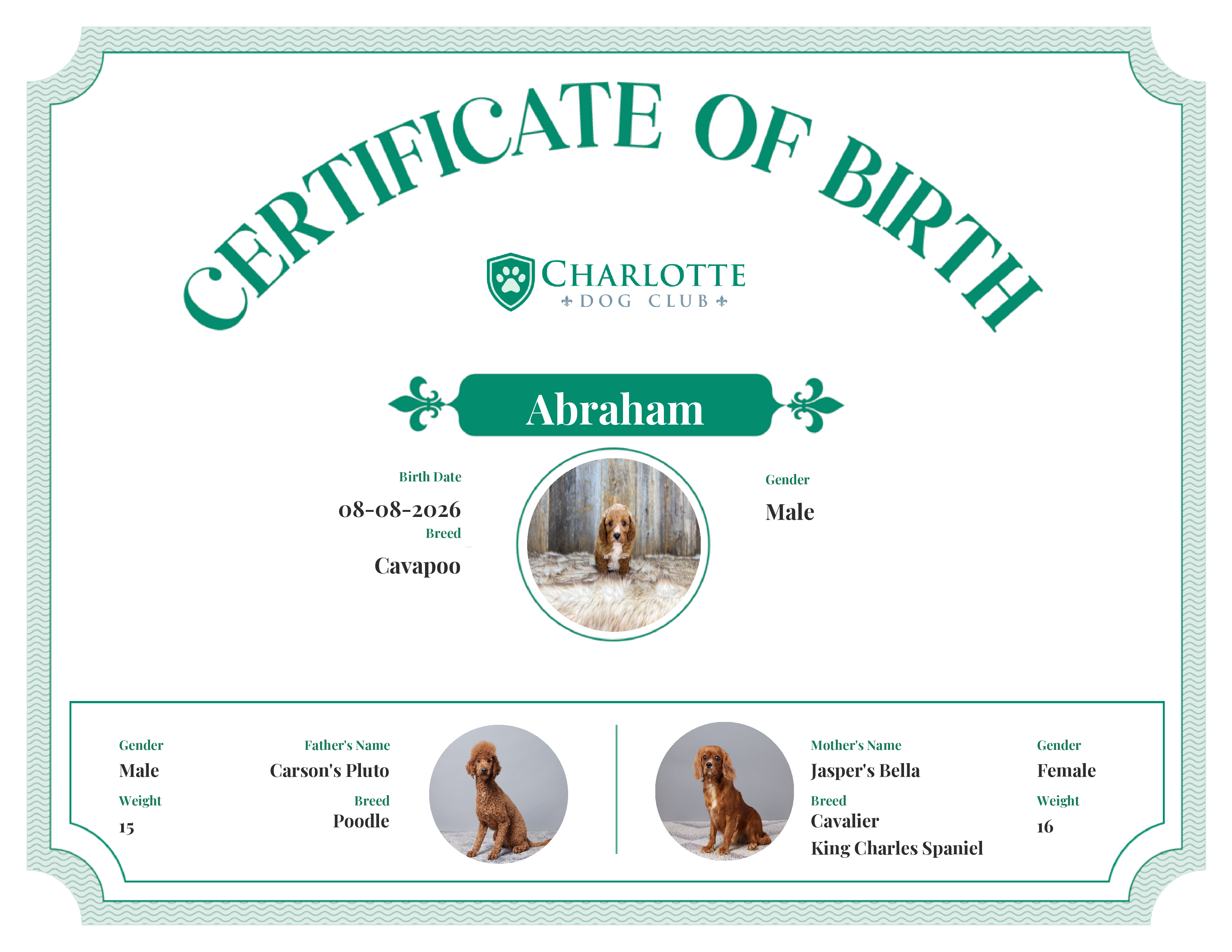 Abraham's Birth Certificate