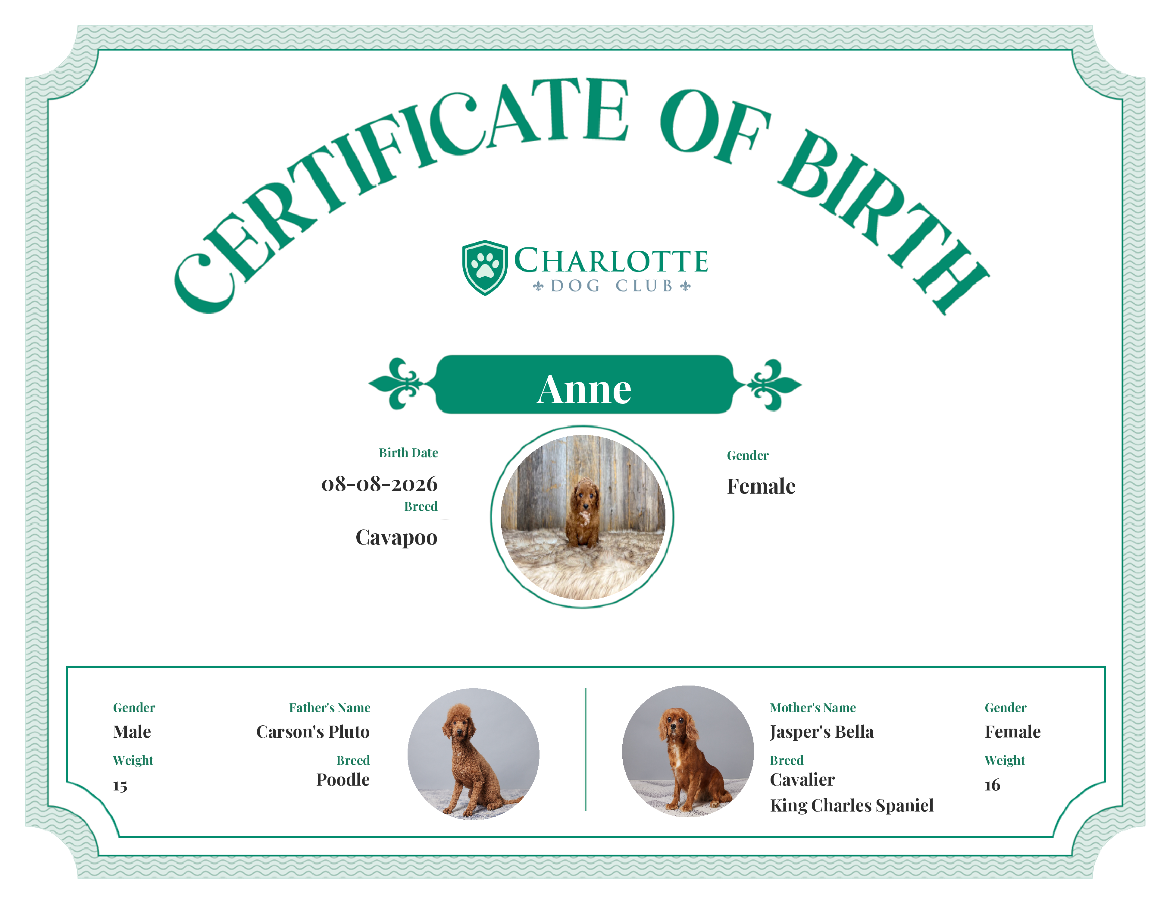 Anne's Birth Certificate
