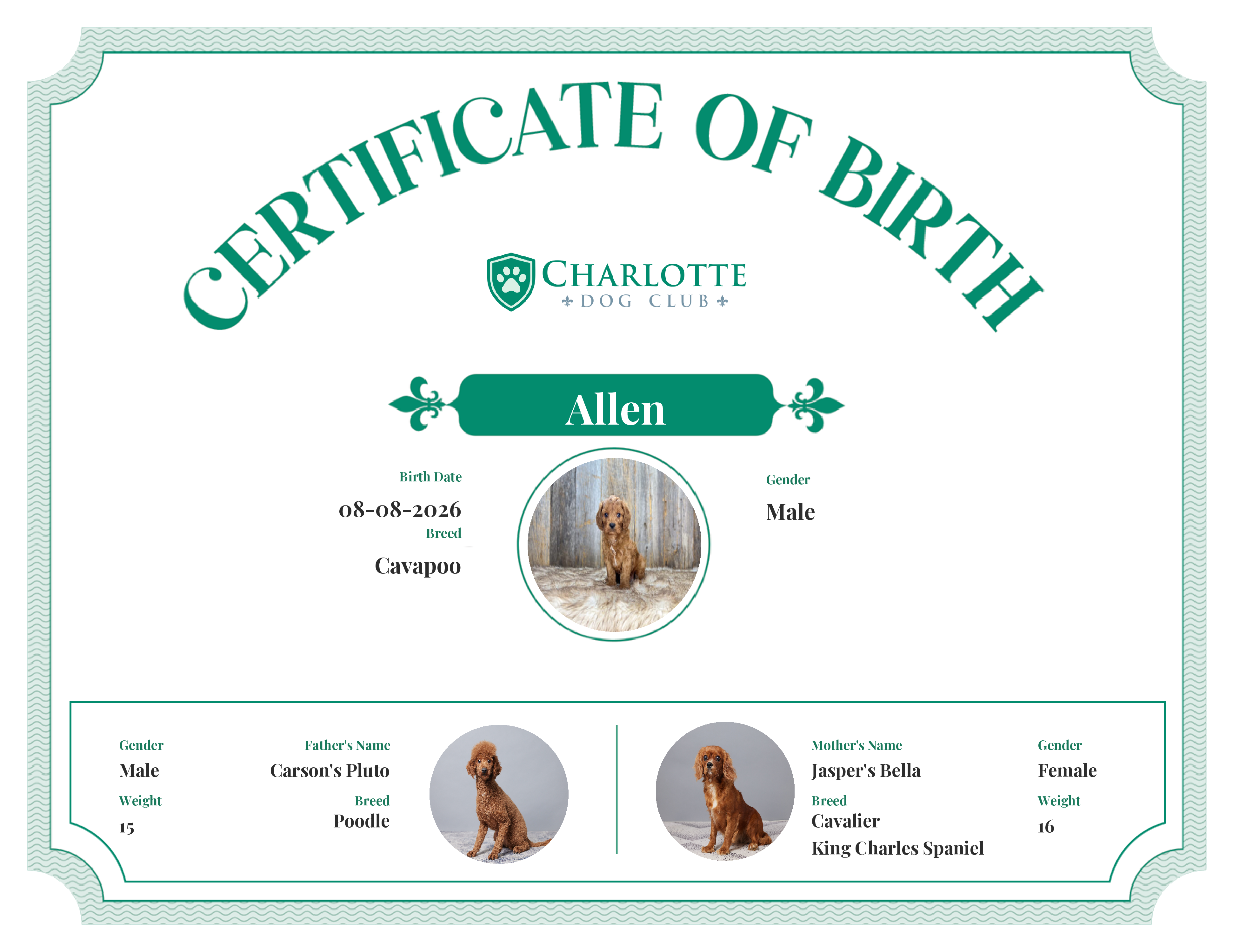 Allen's Birth Certificate
