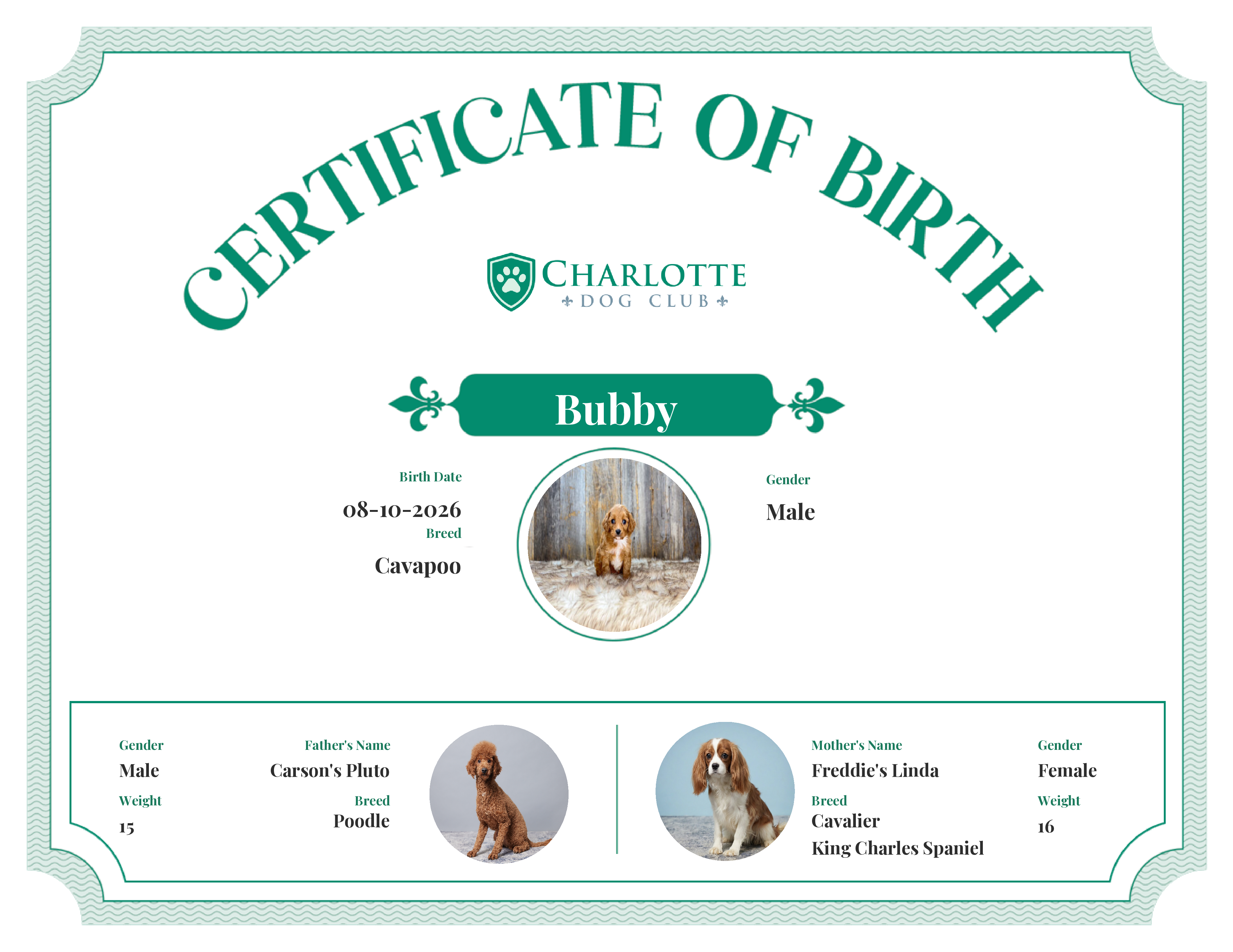 Bubby's Birth Certificate