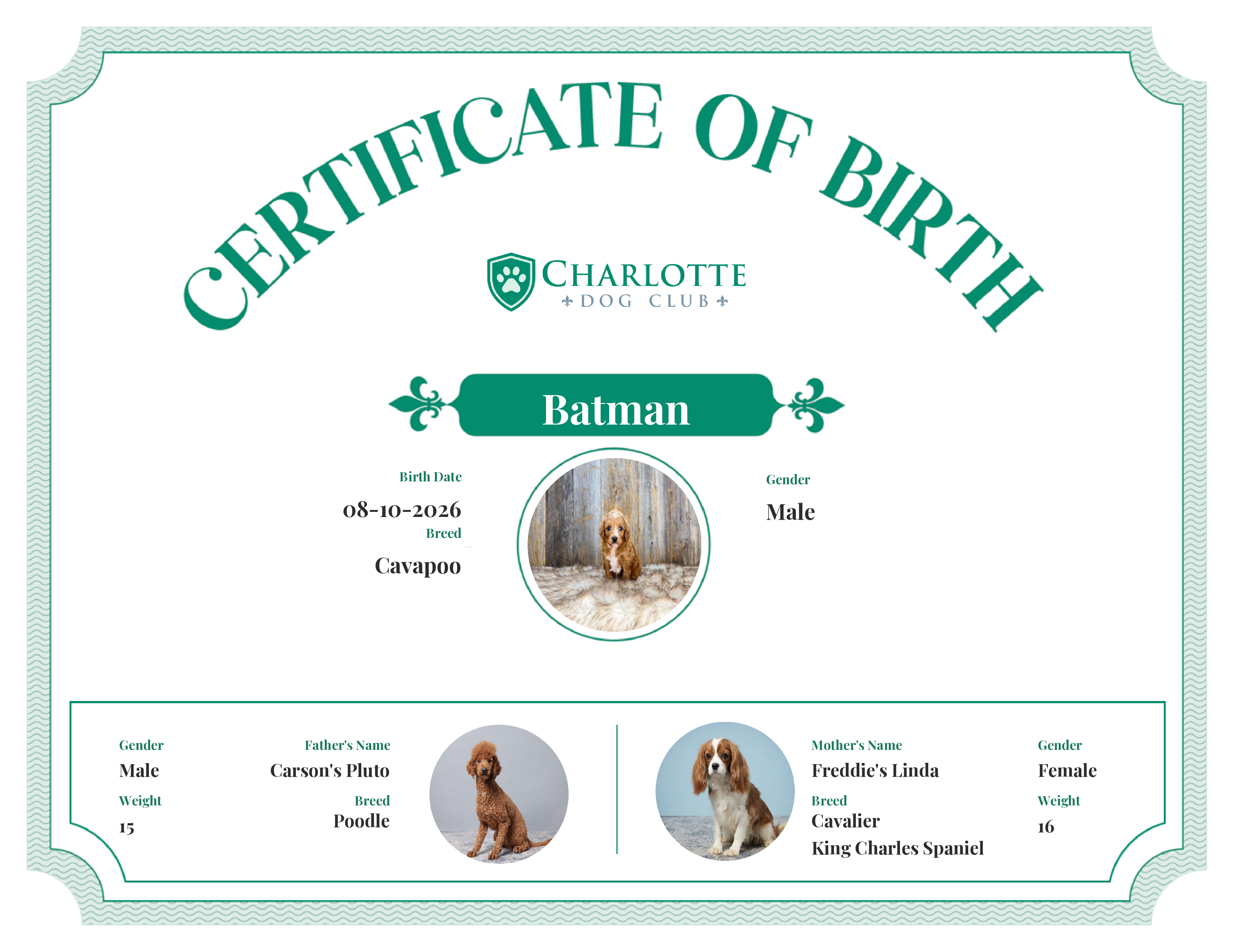 Batman's Birth Certificate