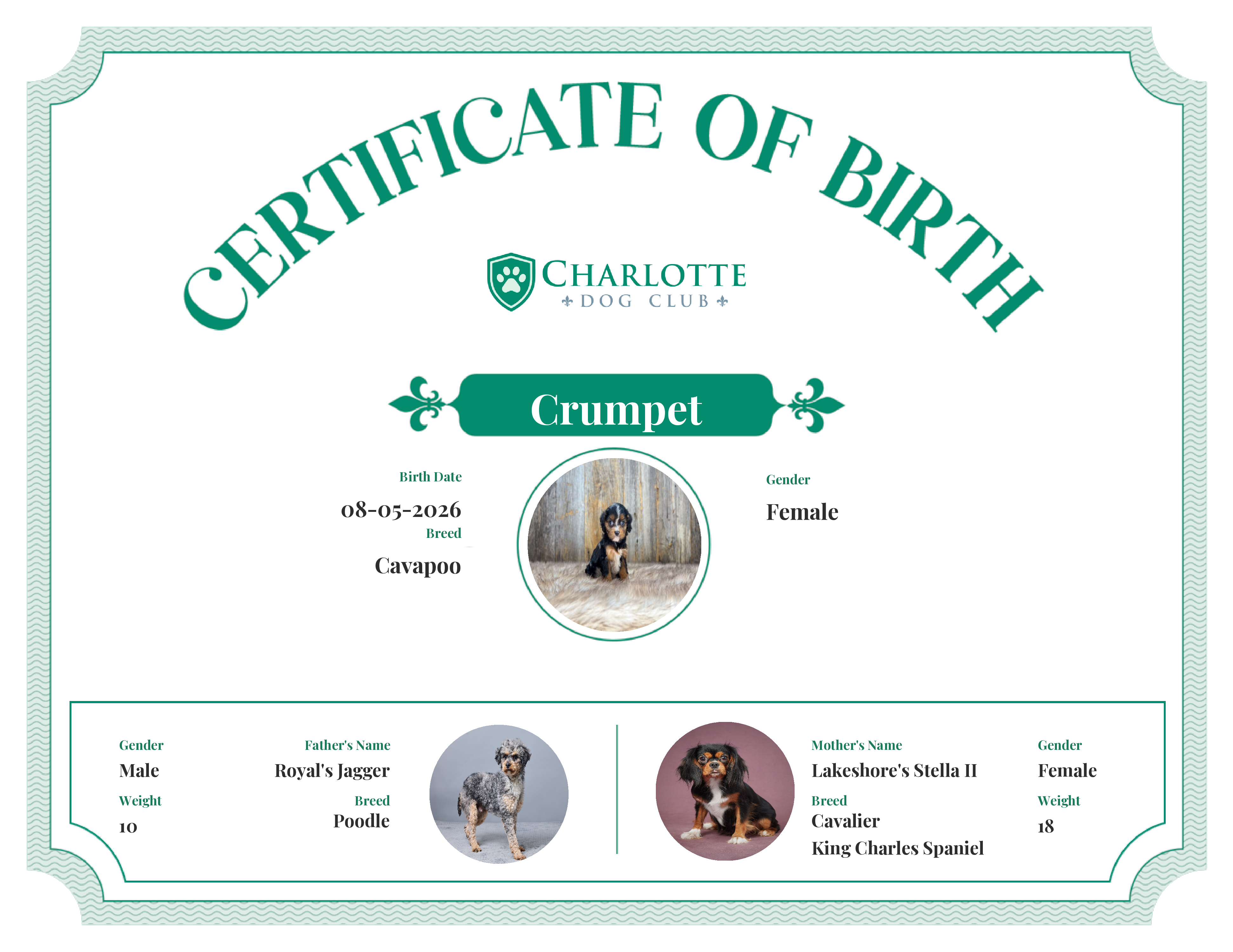 Crumpet's Birth Certificate