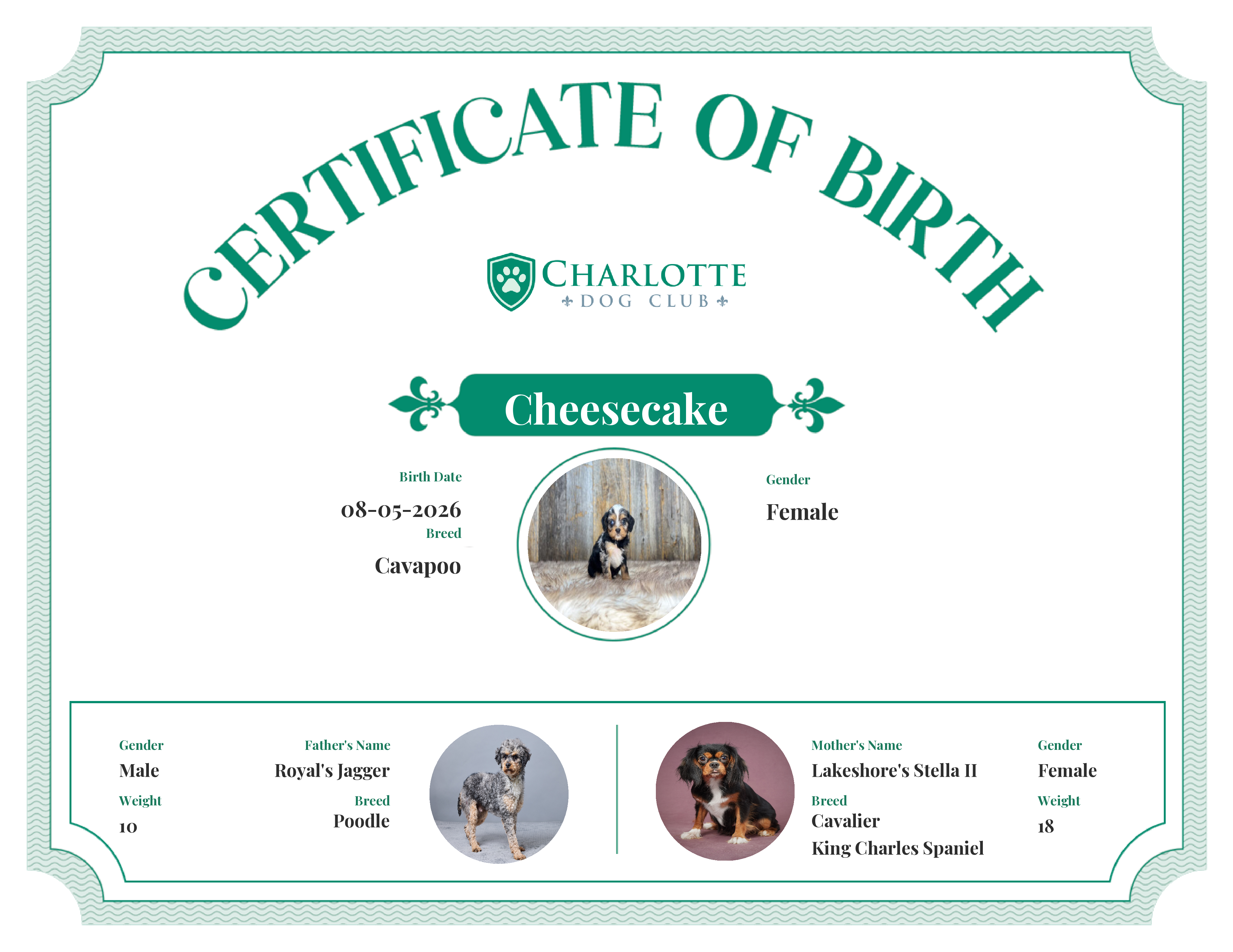 Cheesecake's Birth Certificate