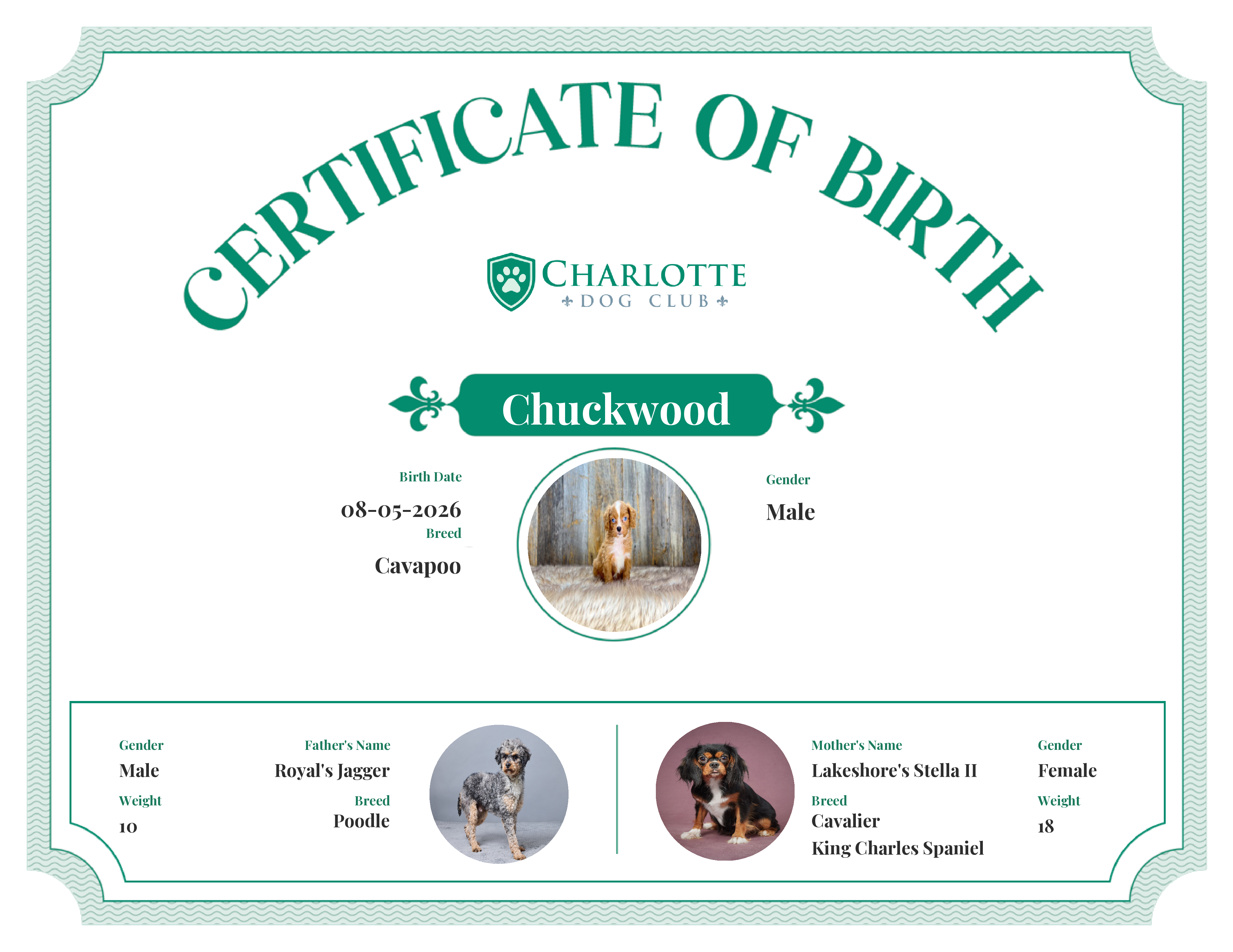 Chuckwood's Birth Certificate