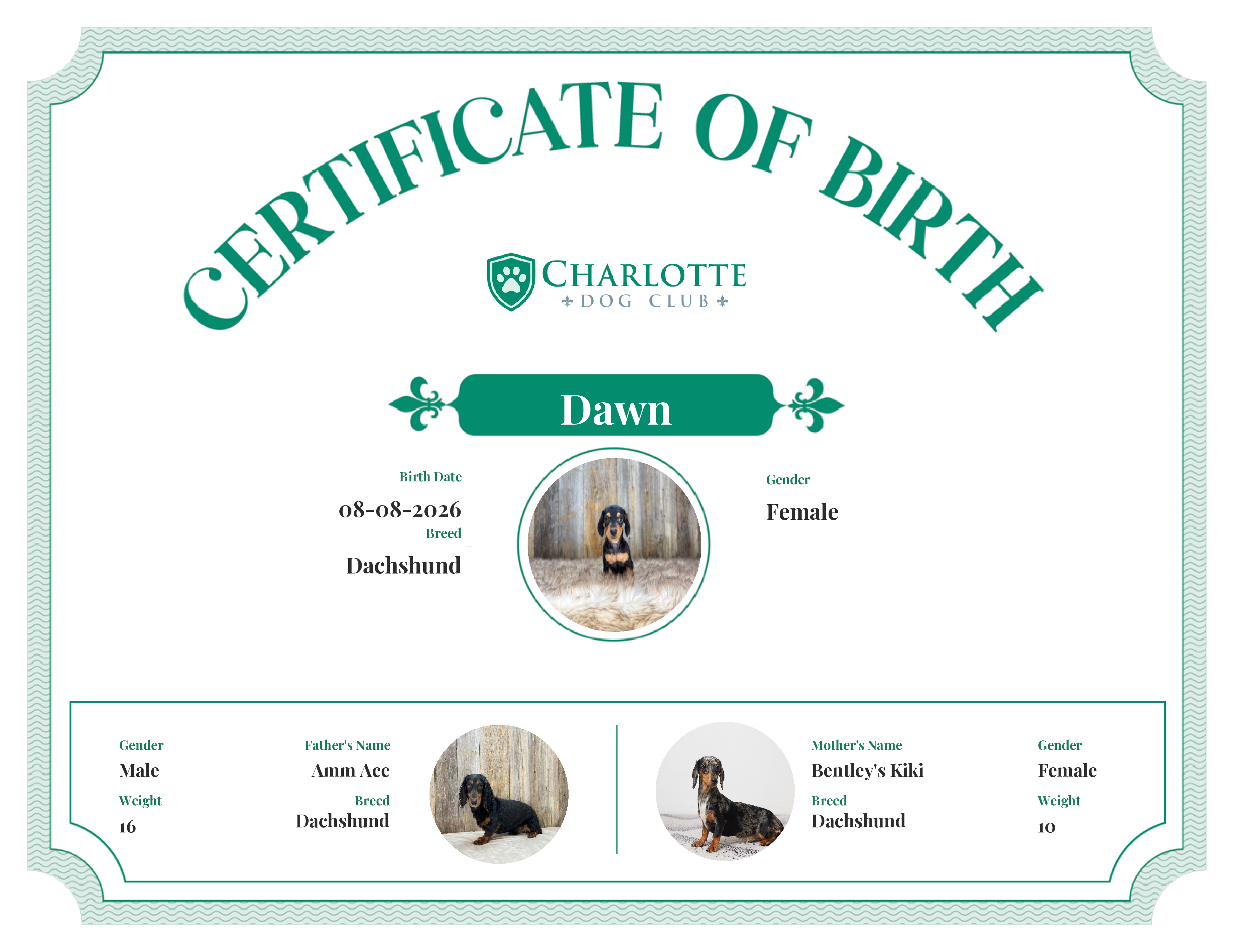 Dawn's Birth Certificate