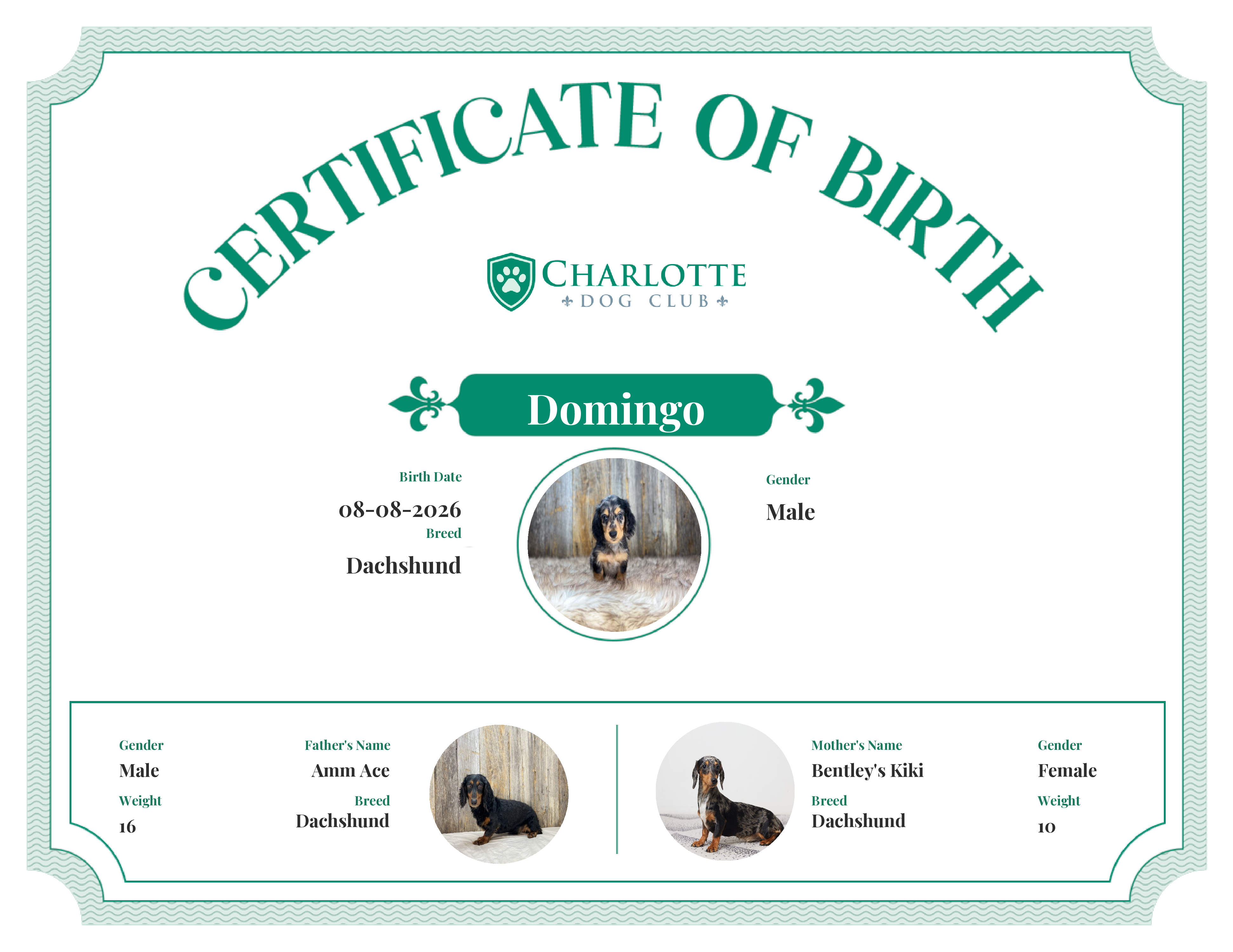Domingo's Birth Certificate