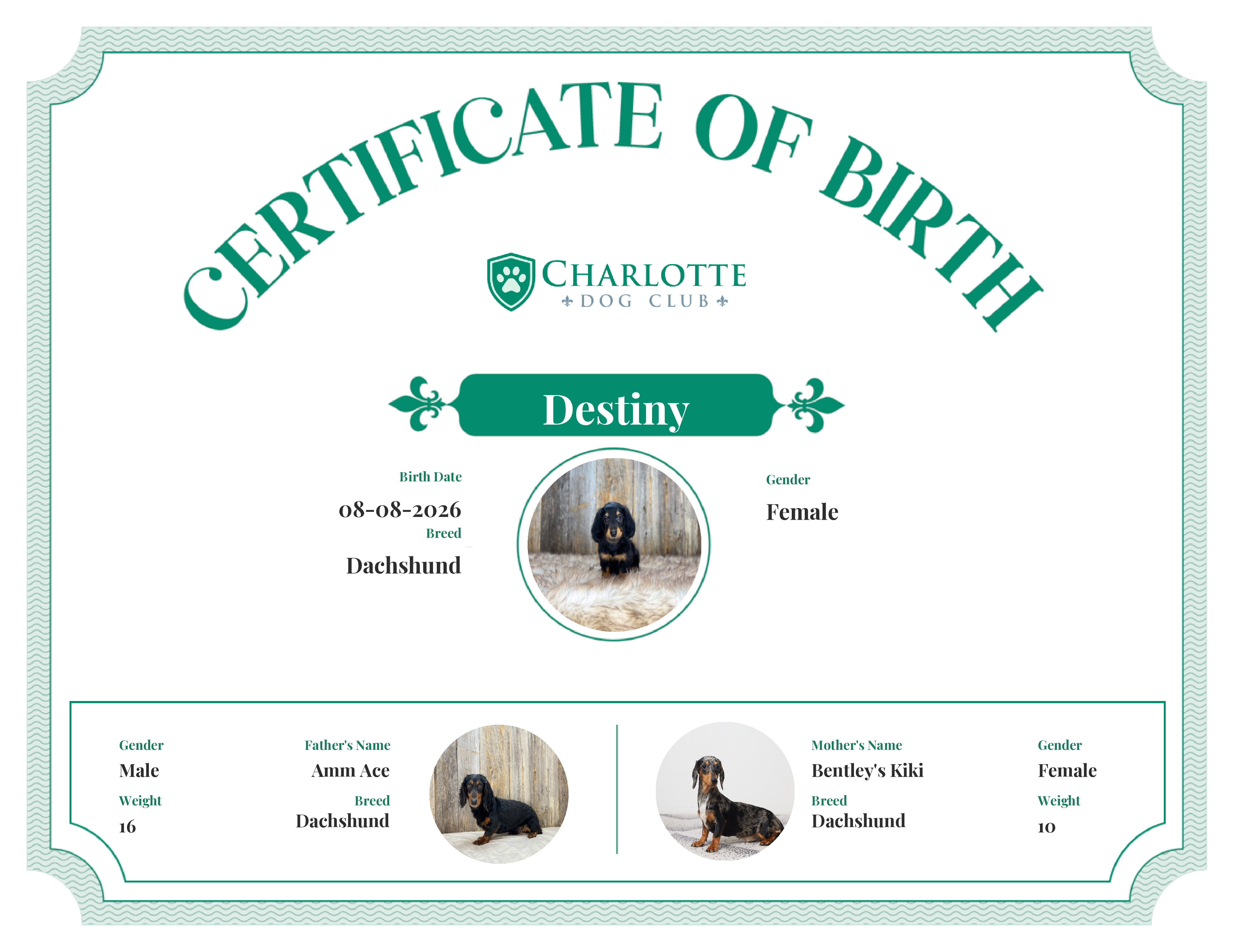 Destiny's Birth Certificate