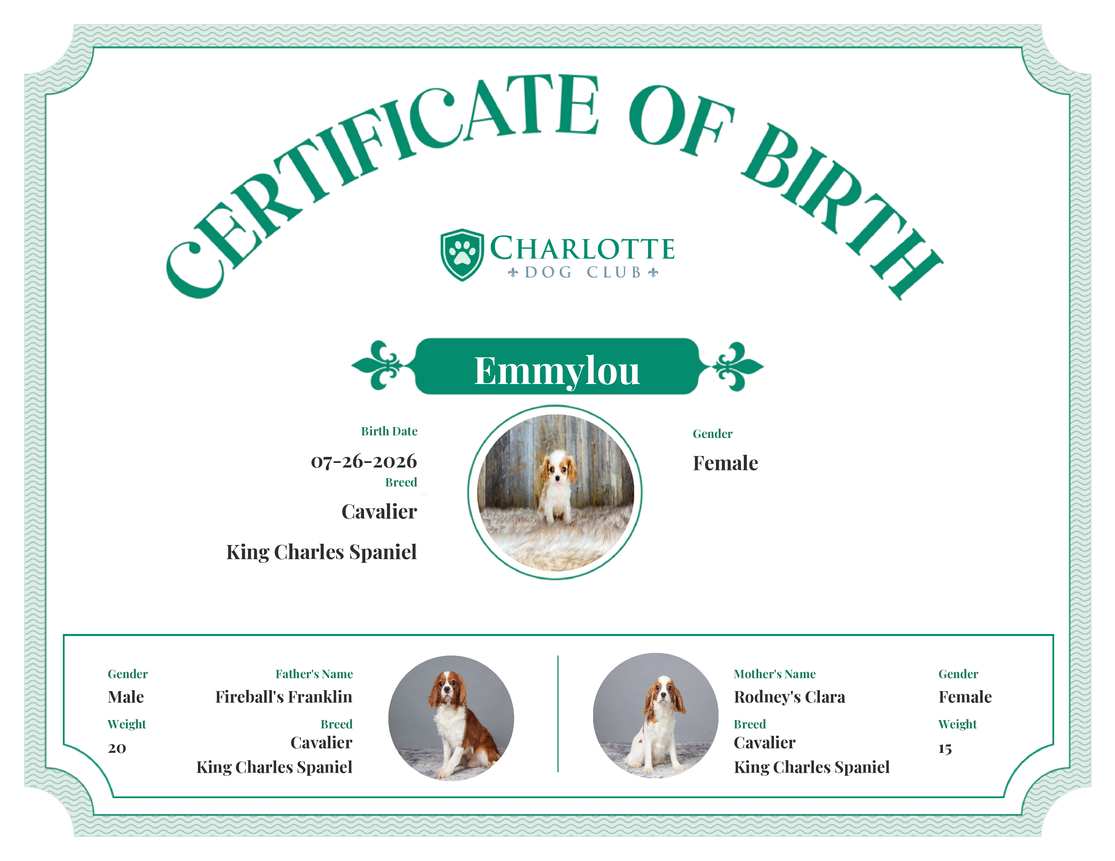 Emmylou's Birth Certificate