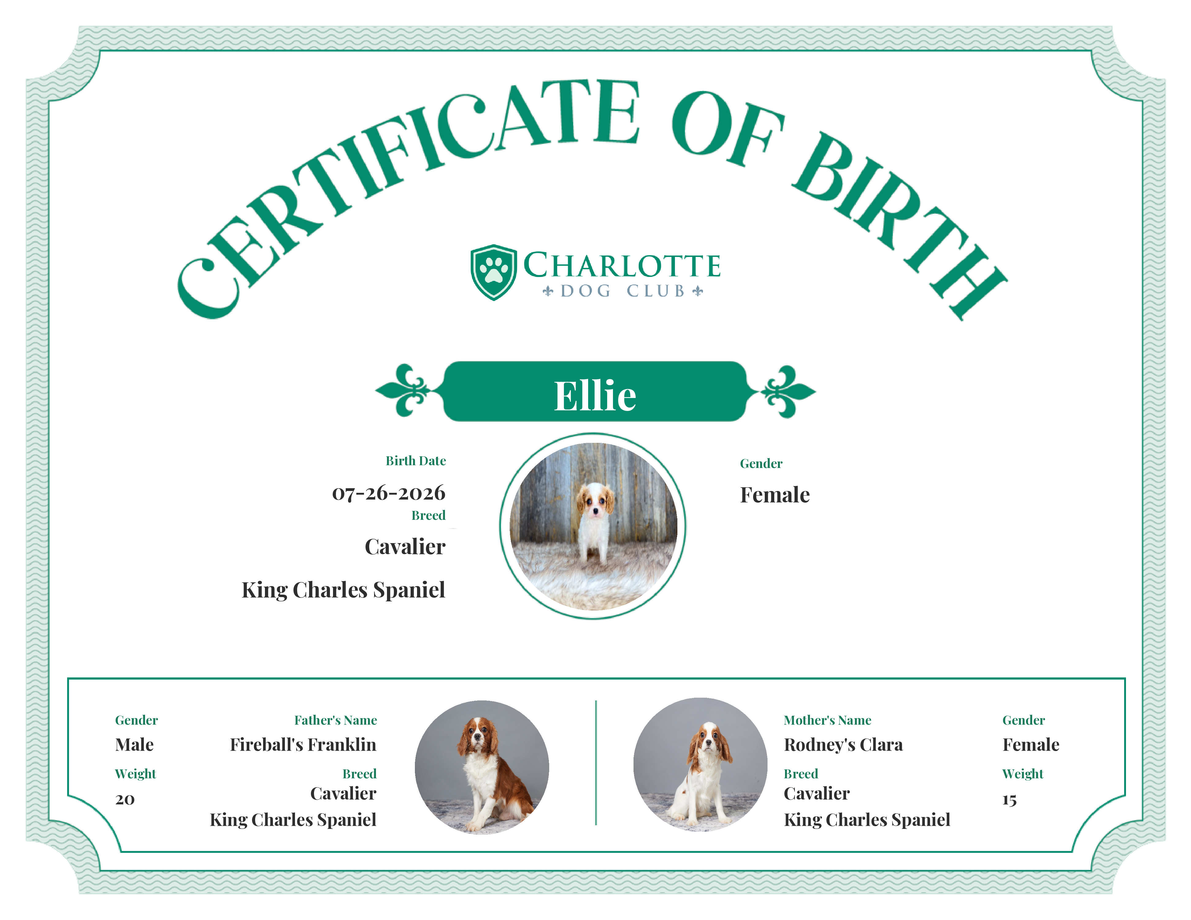 Ellie's Birth Certificate