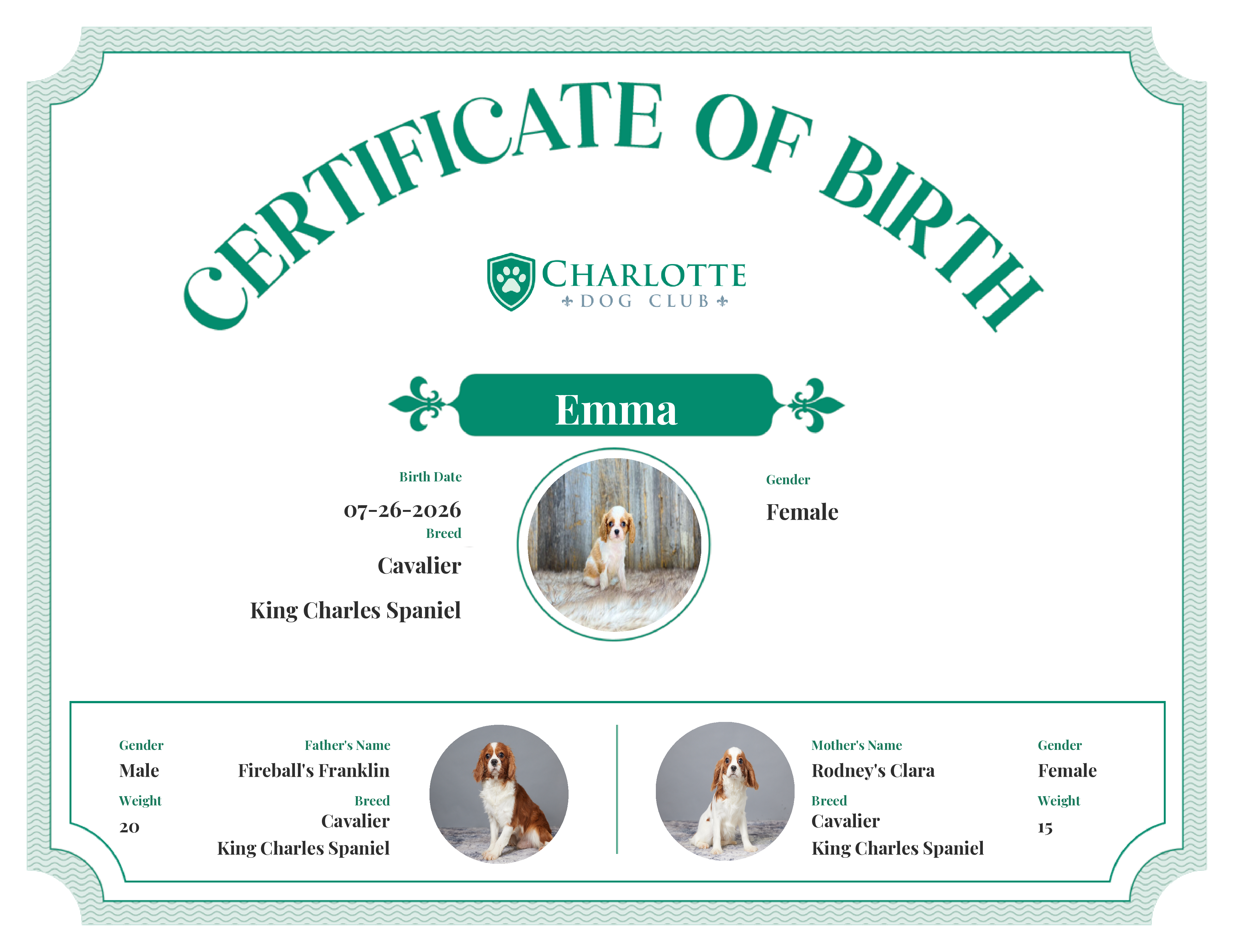 Emma's Birth Certificate