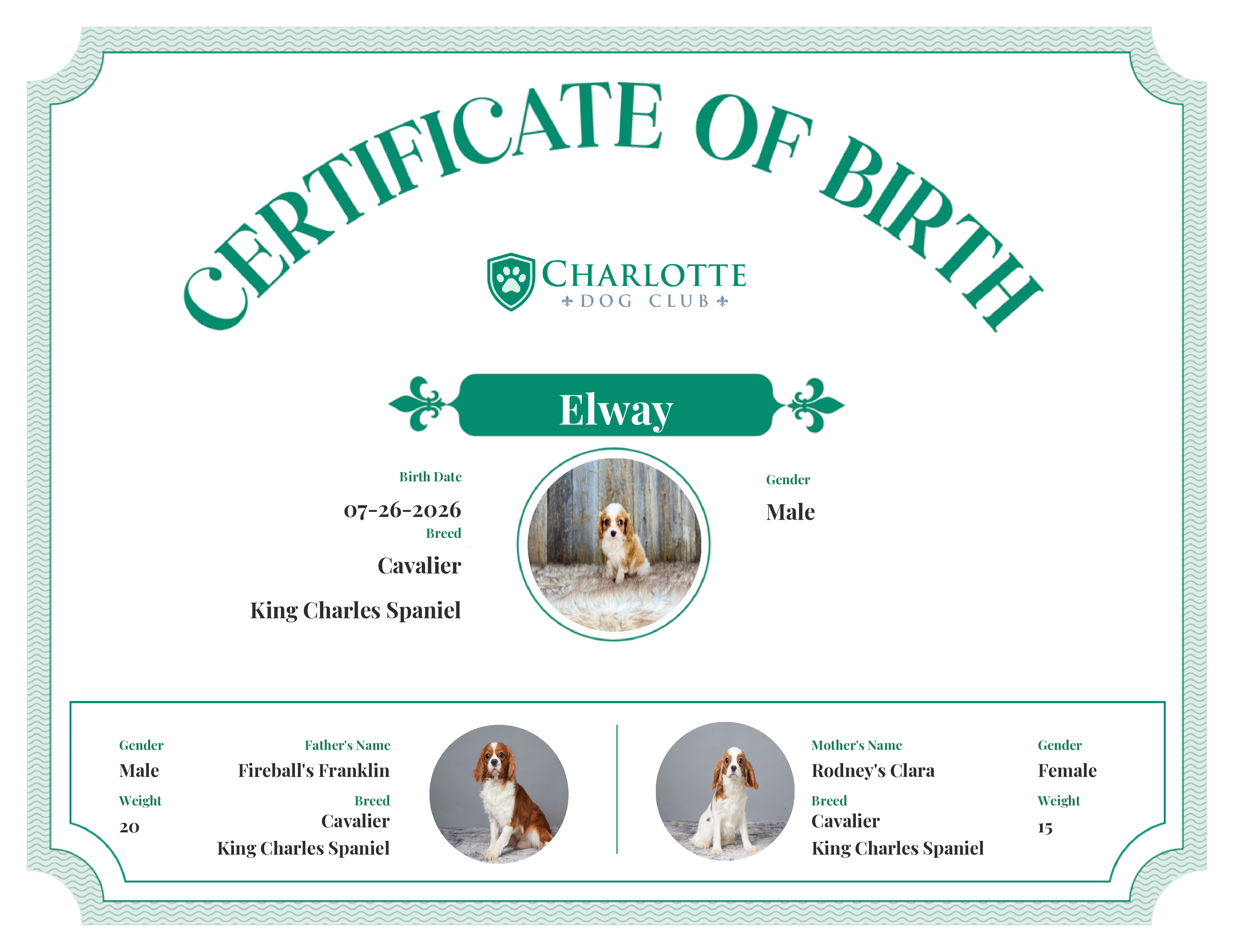 Elway's Birth Certificate